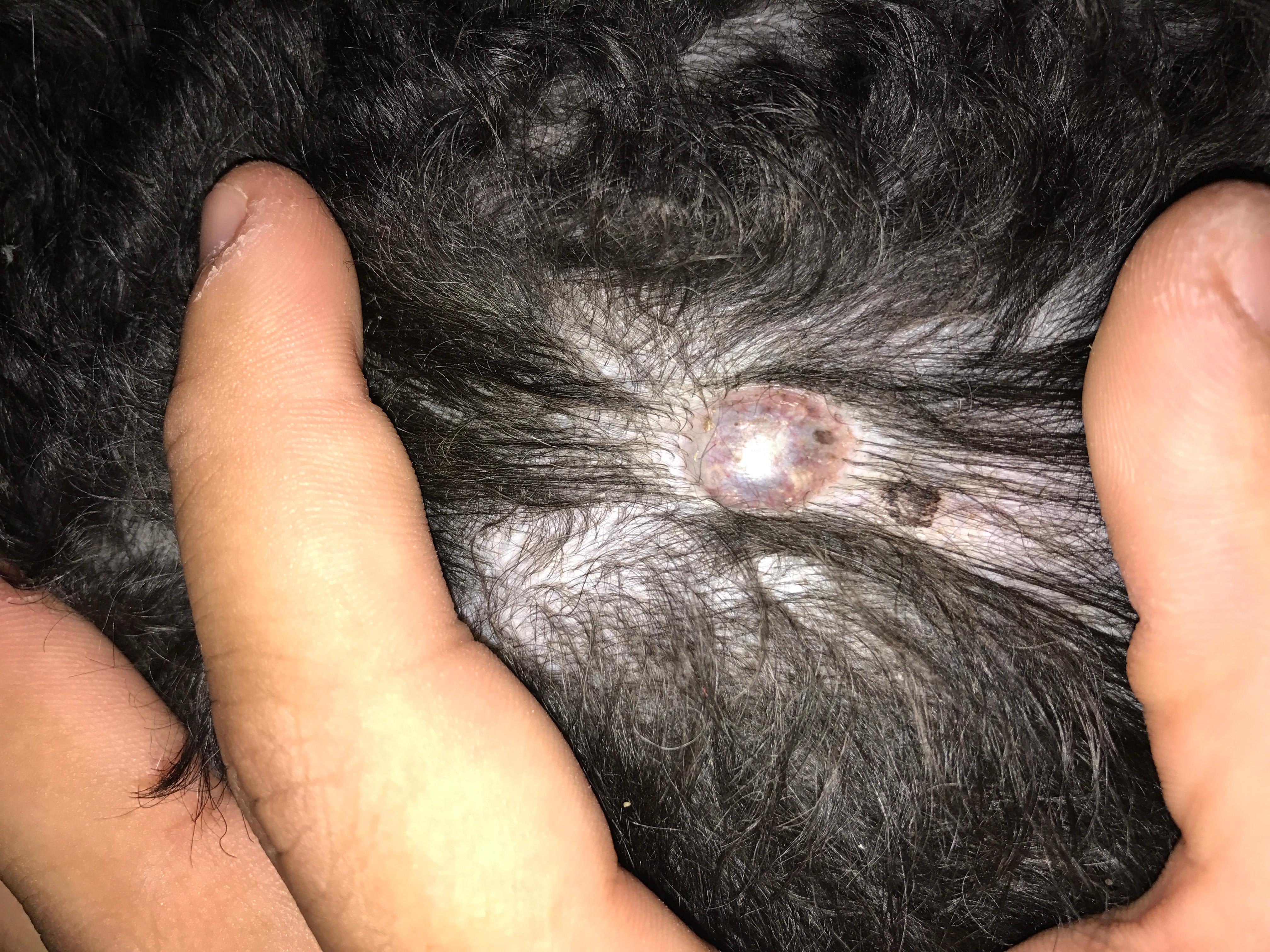 Question details sensitive content