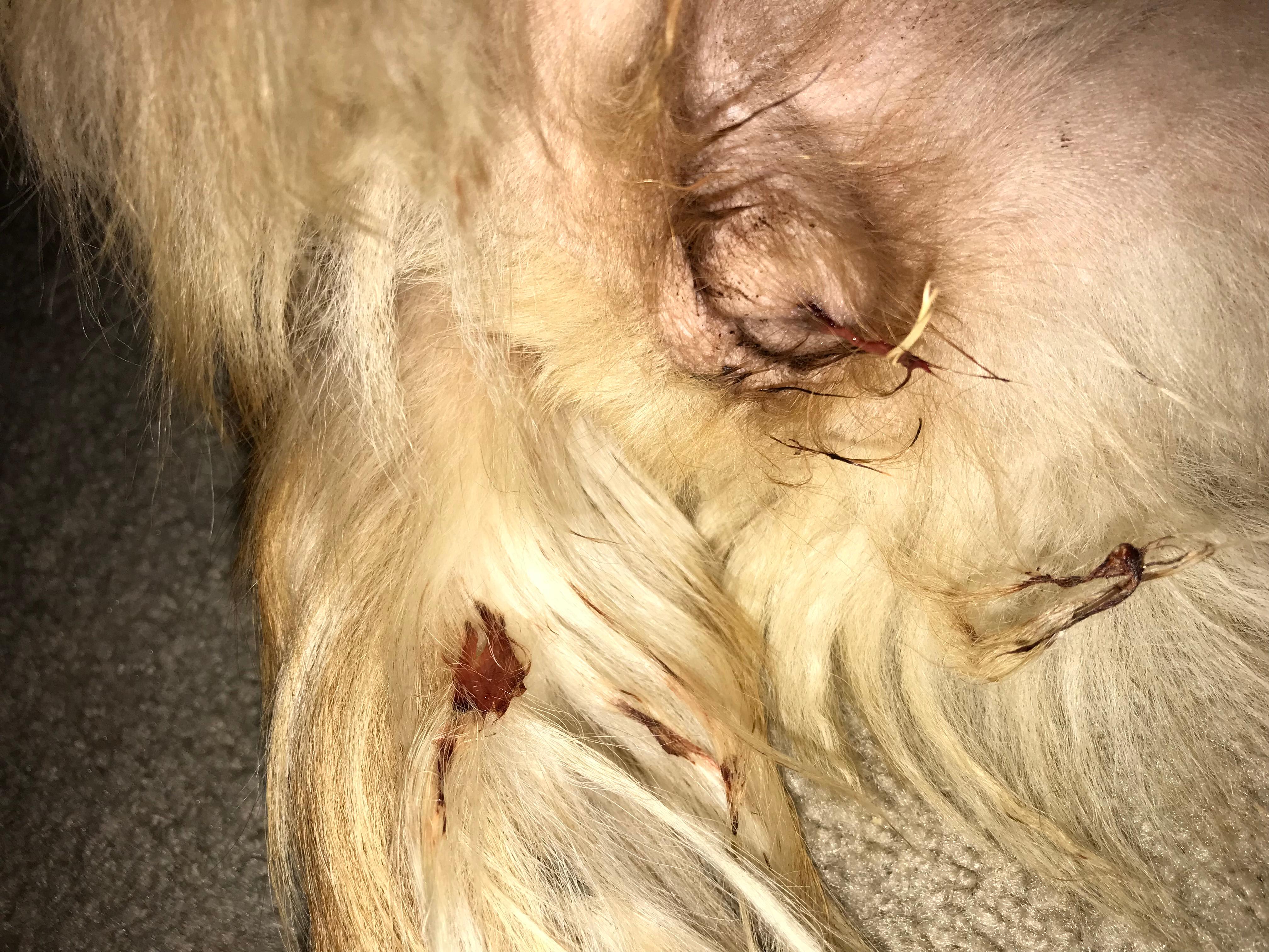 Question details sensitive content