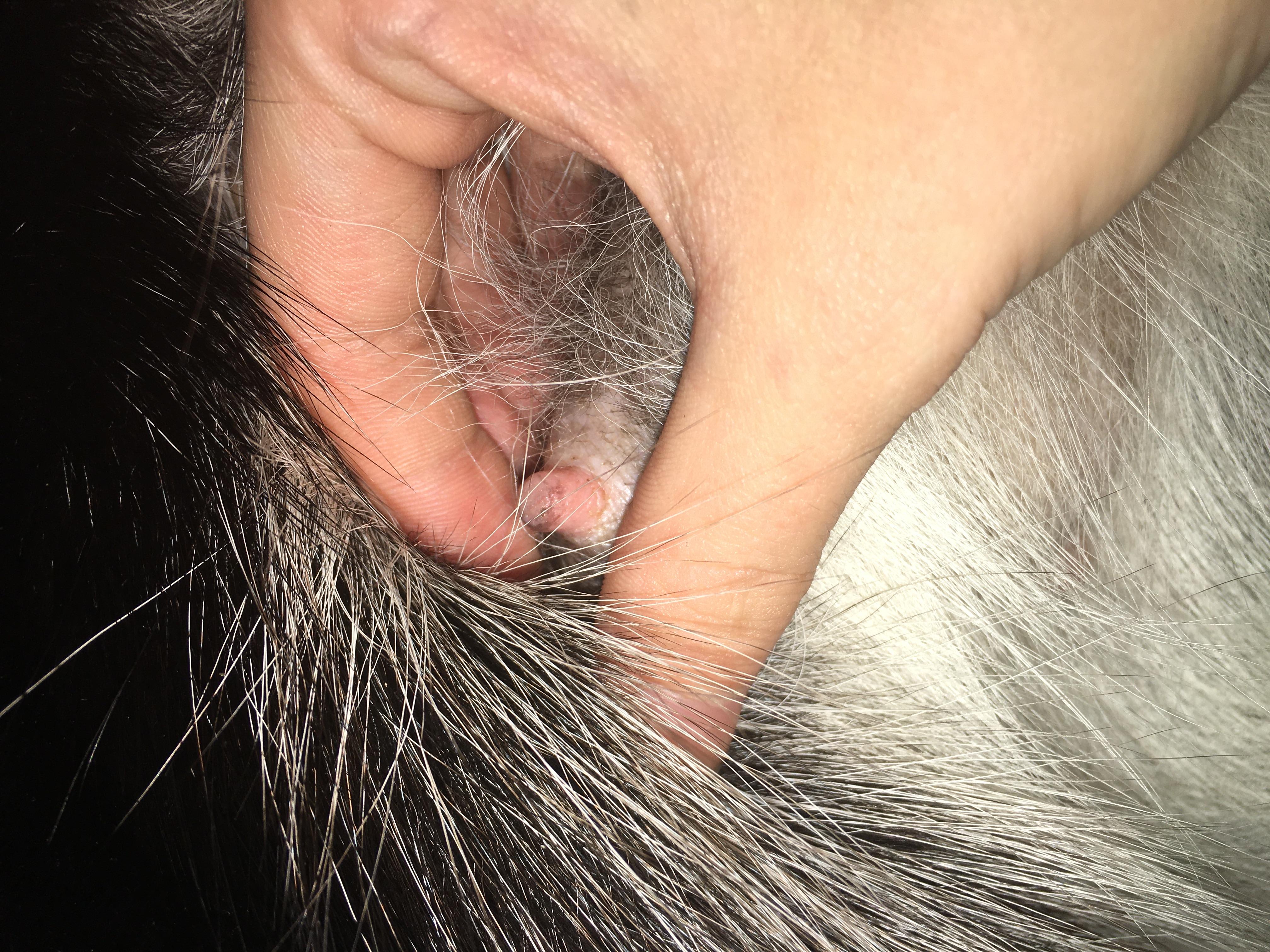 Question details sensitive content