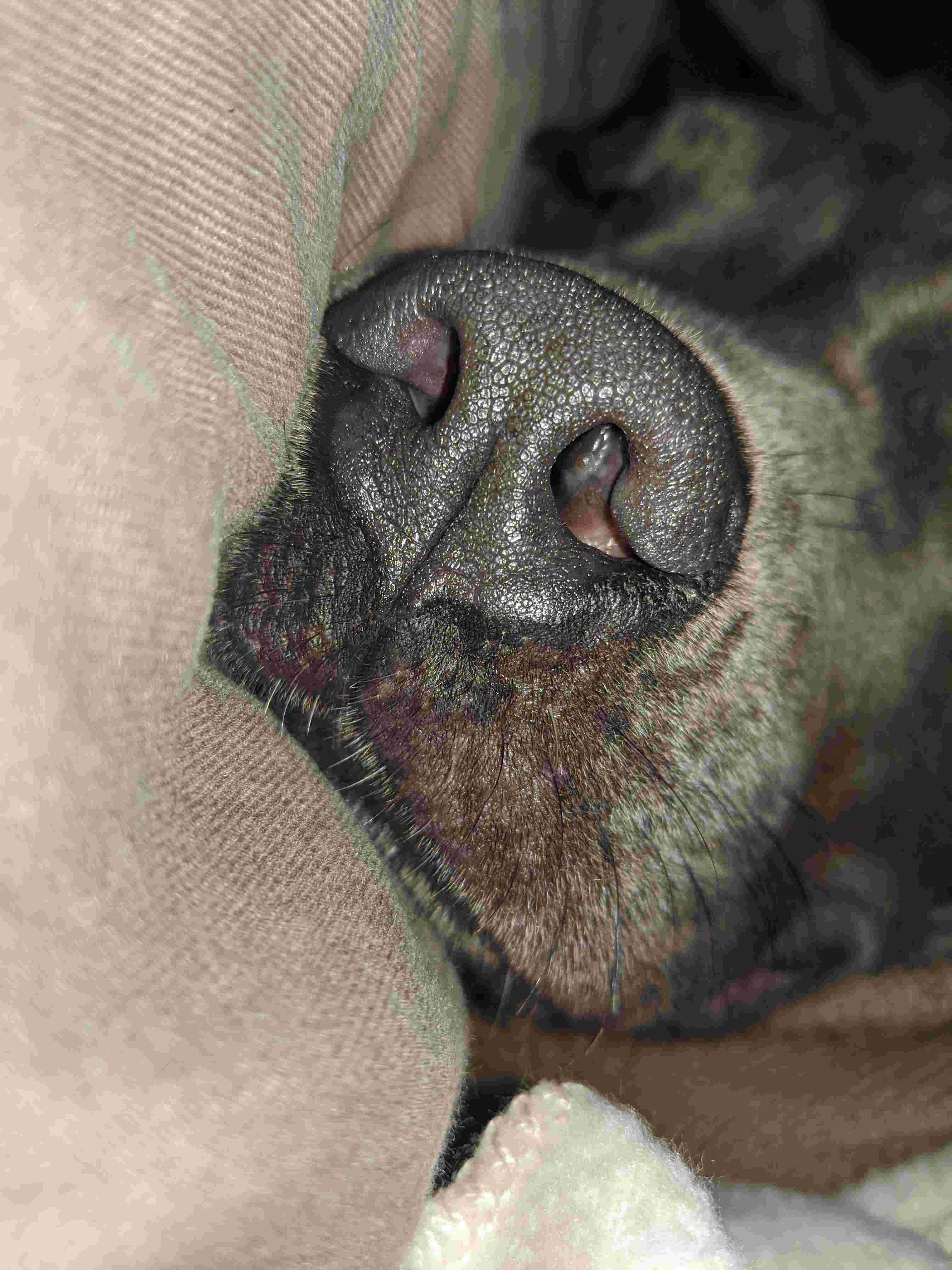 Question details sensitive content