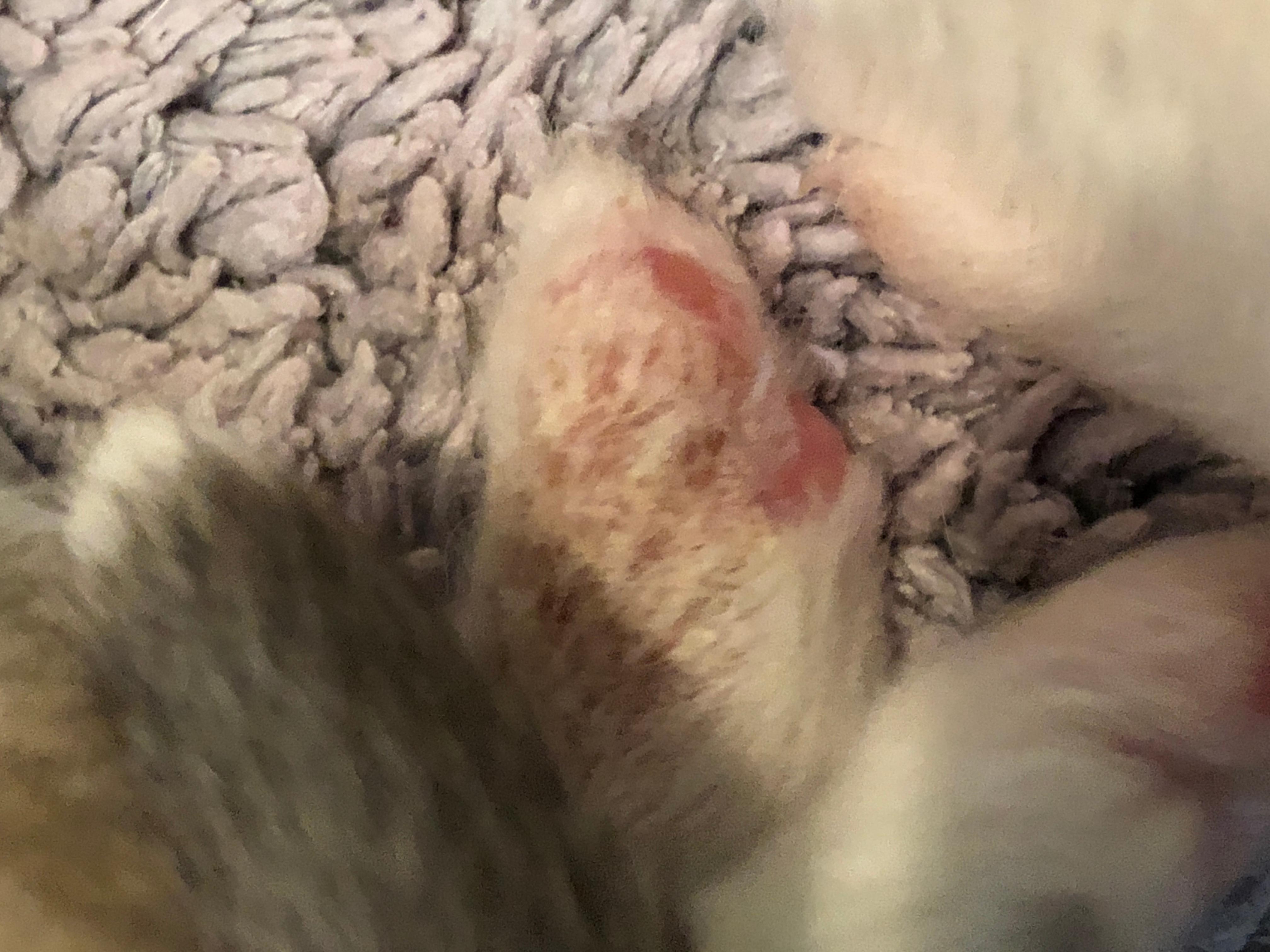 Question details sensitive content