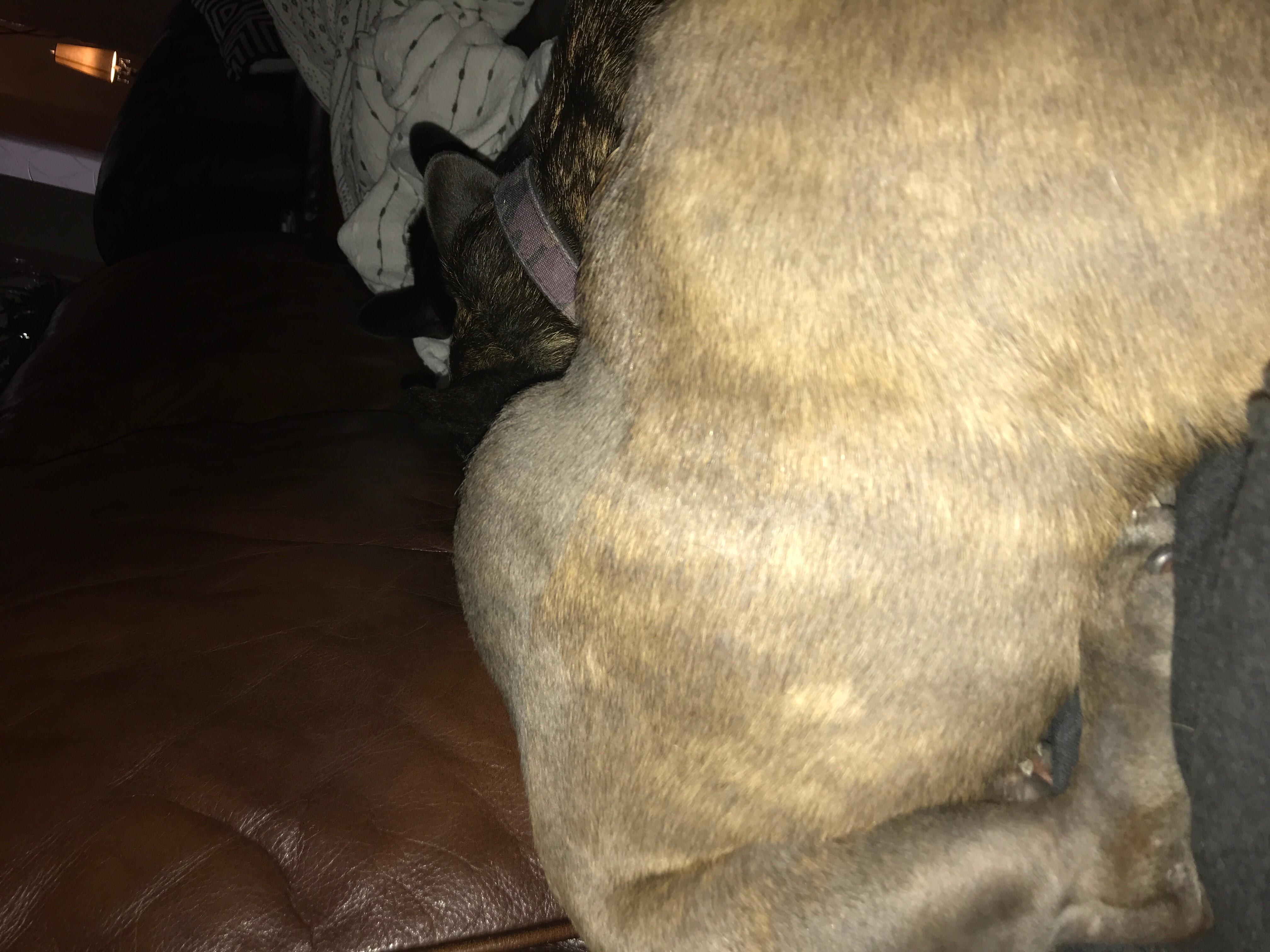 Question details sensitive content