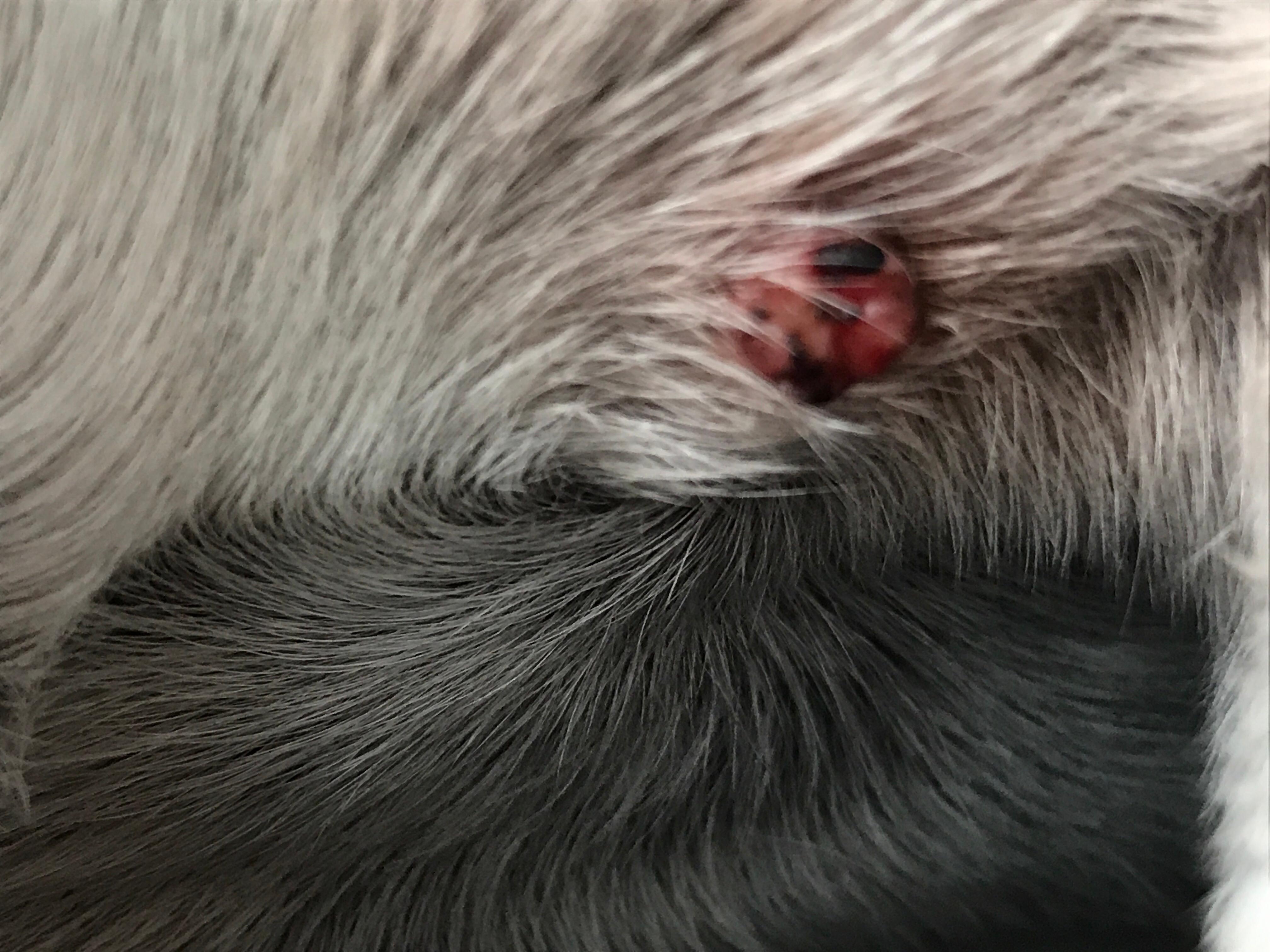 Question details sensitive content