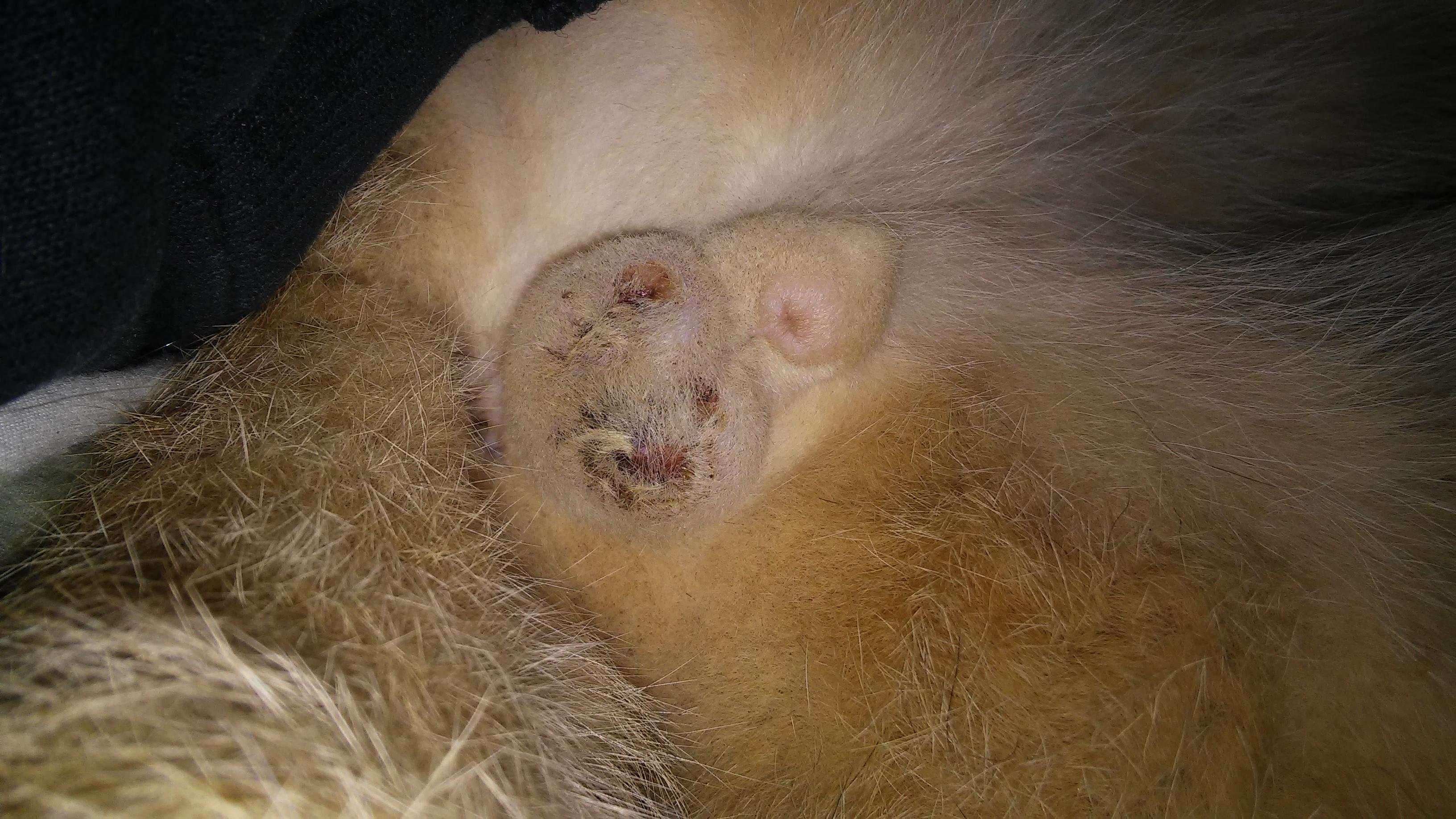 Question details sensitive content