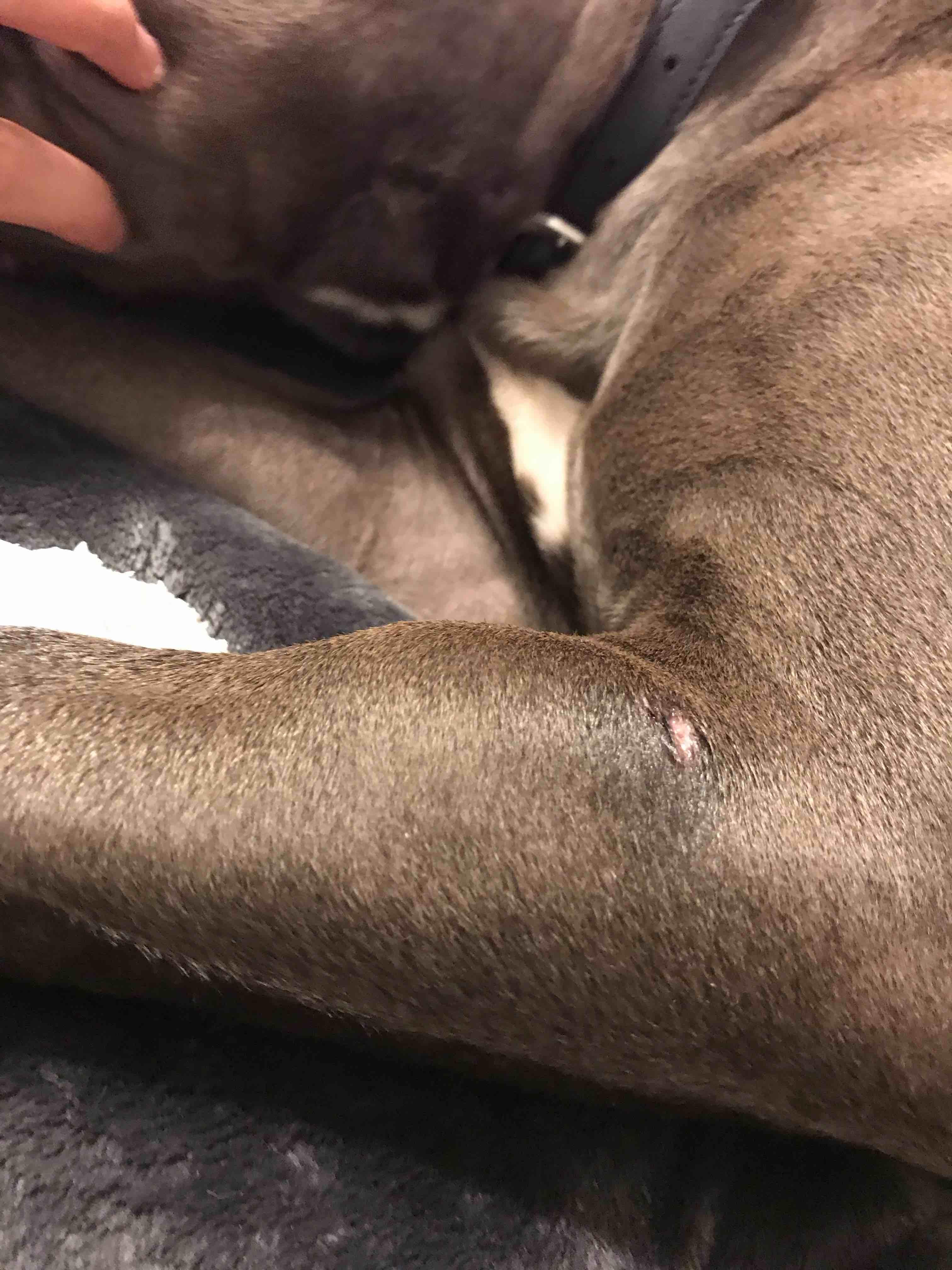 Question details sensitive content