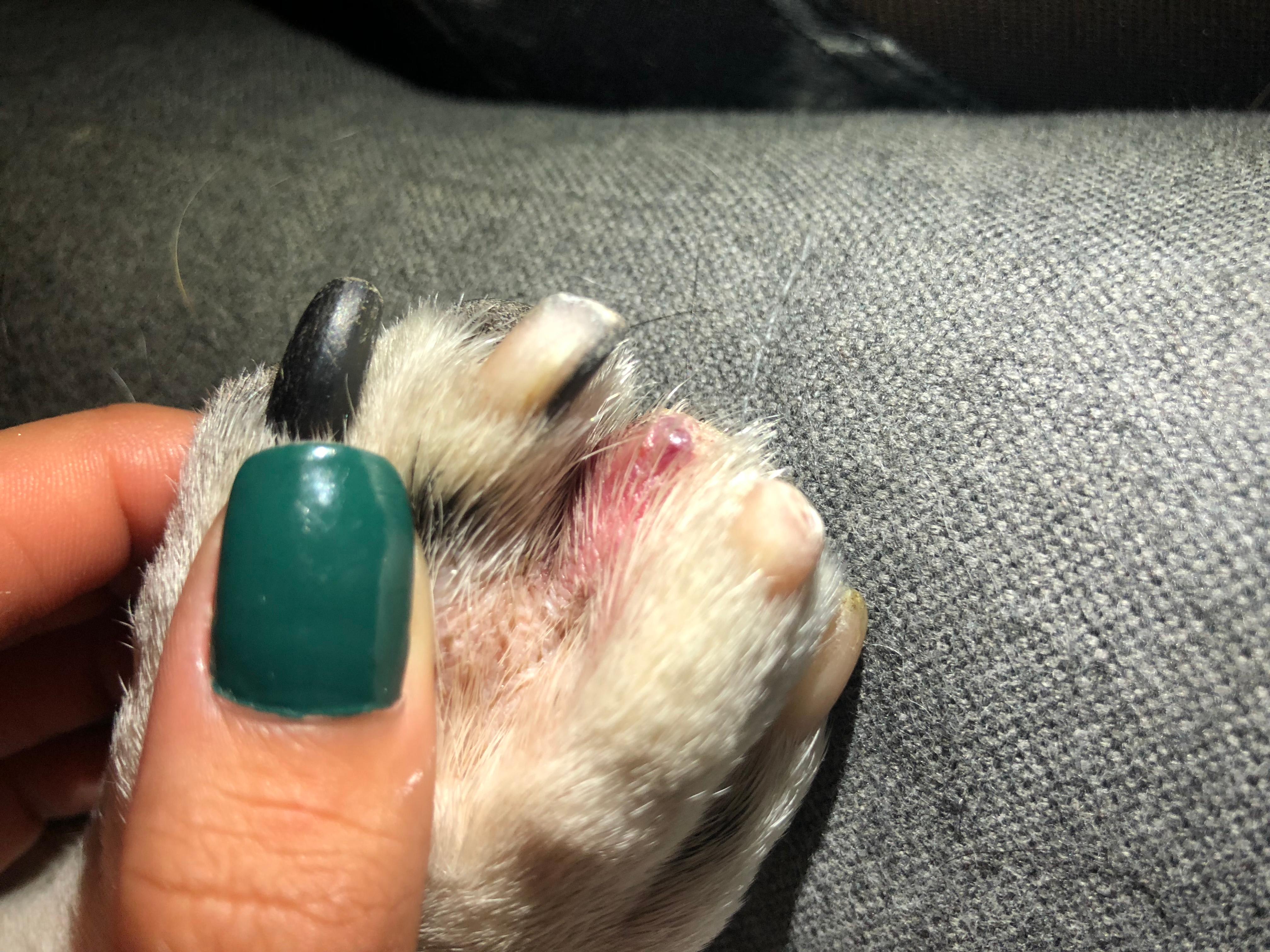 Question details sensitive content