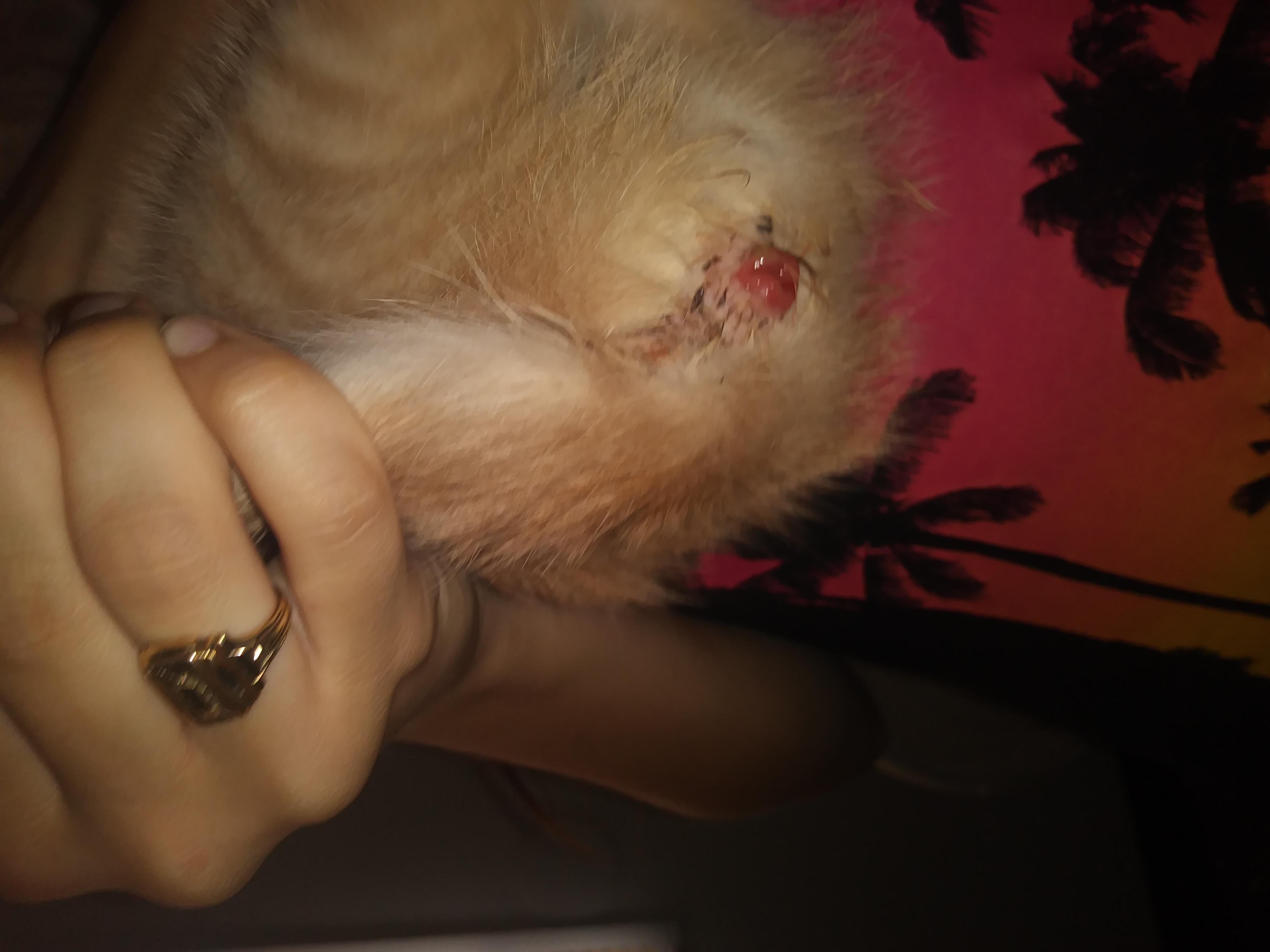 Question details sensitive content