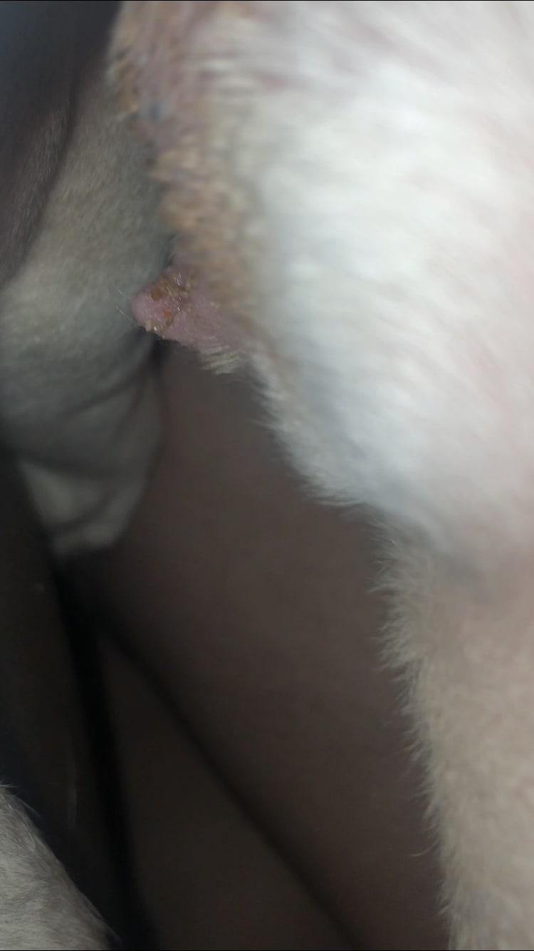 Question details sensitive content