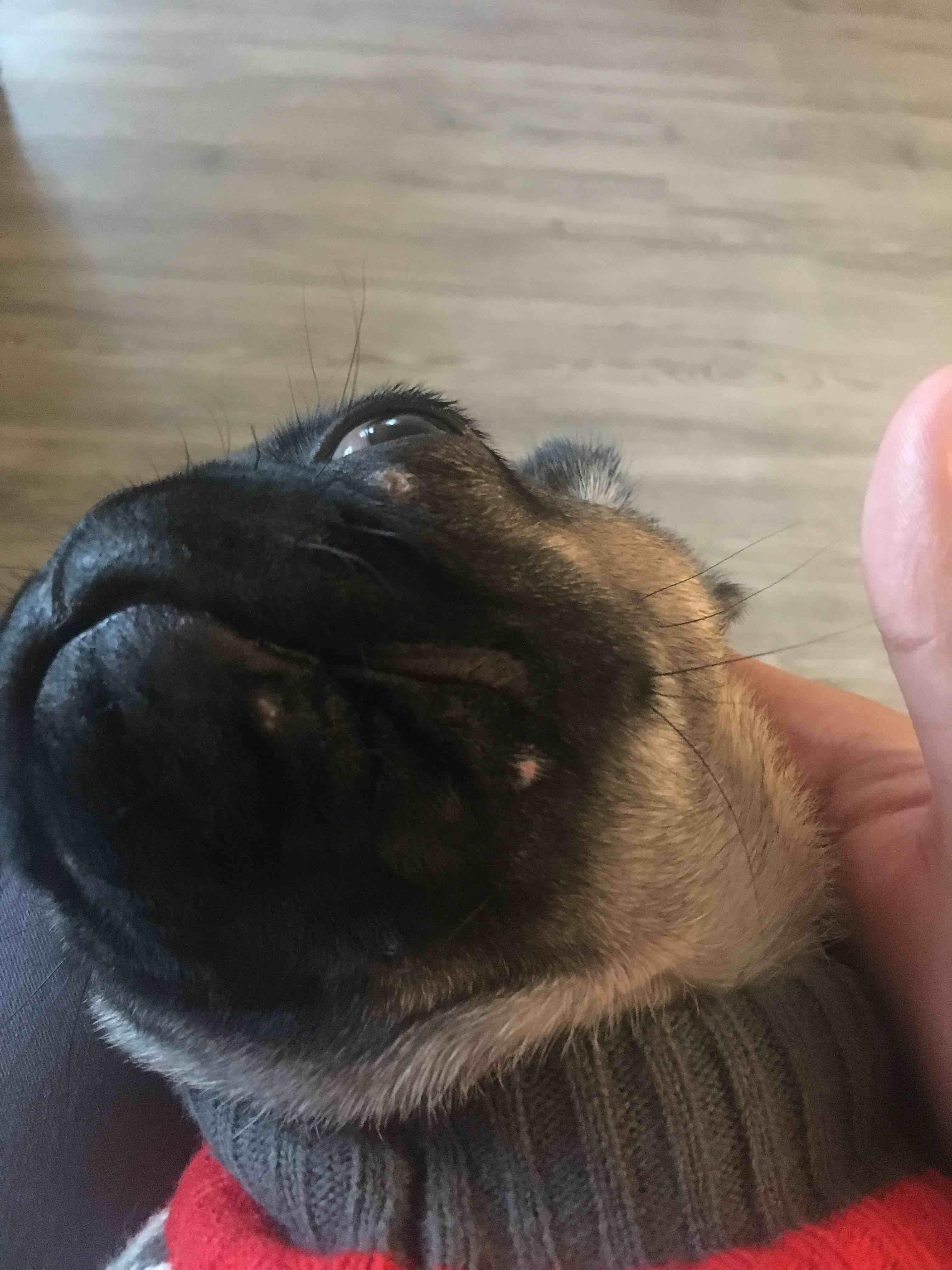 Question details sensitive content