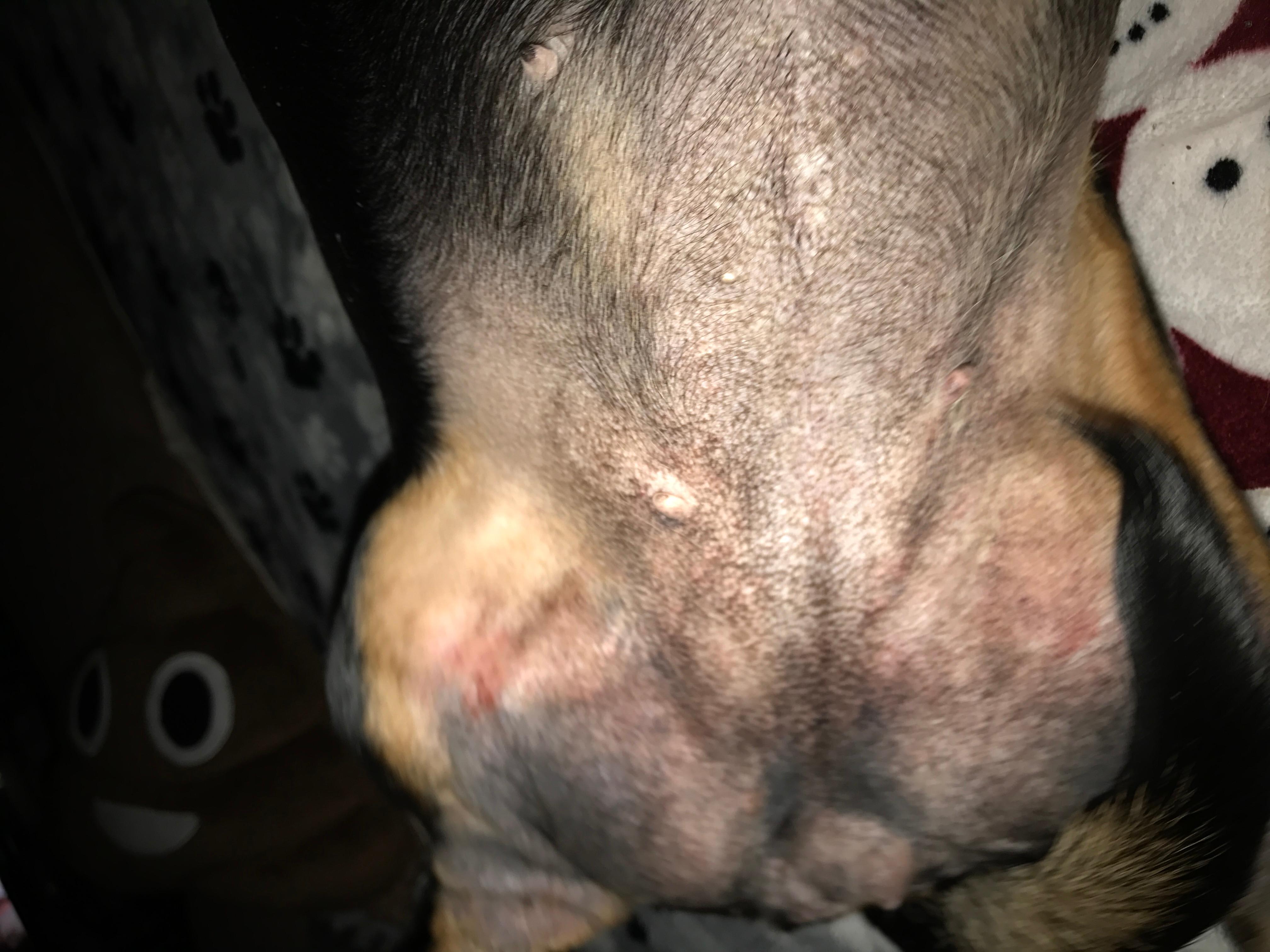 Question details sensitive content