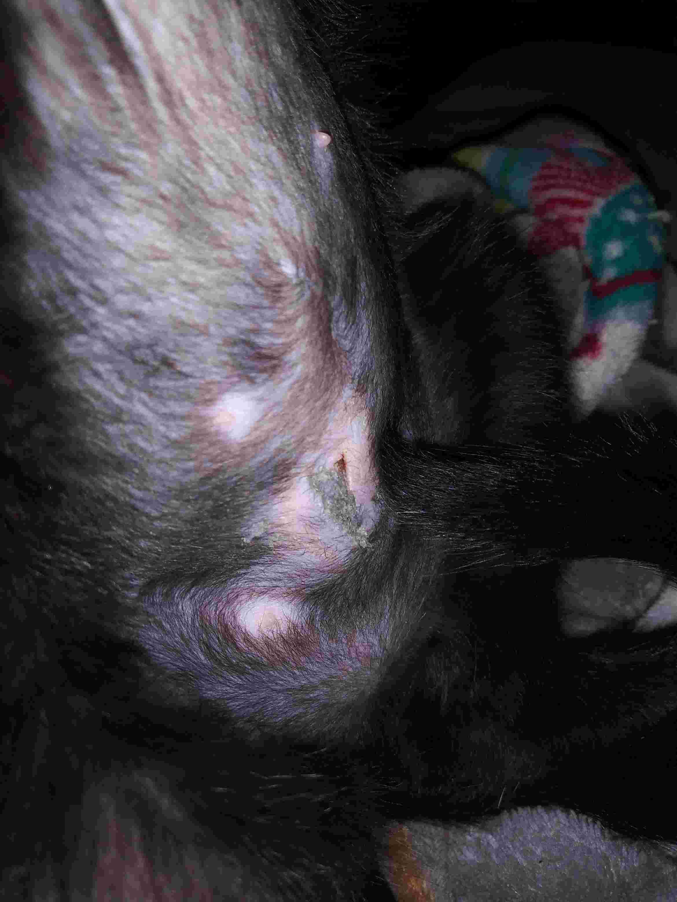 Question details sensitive content