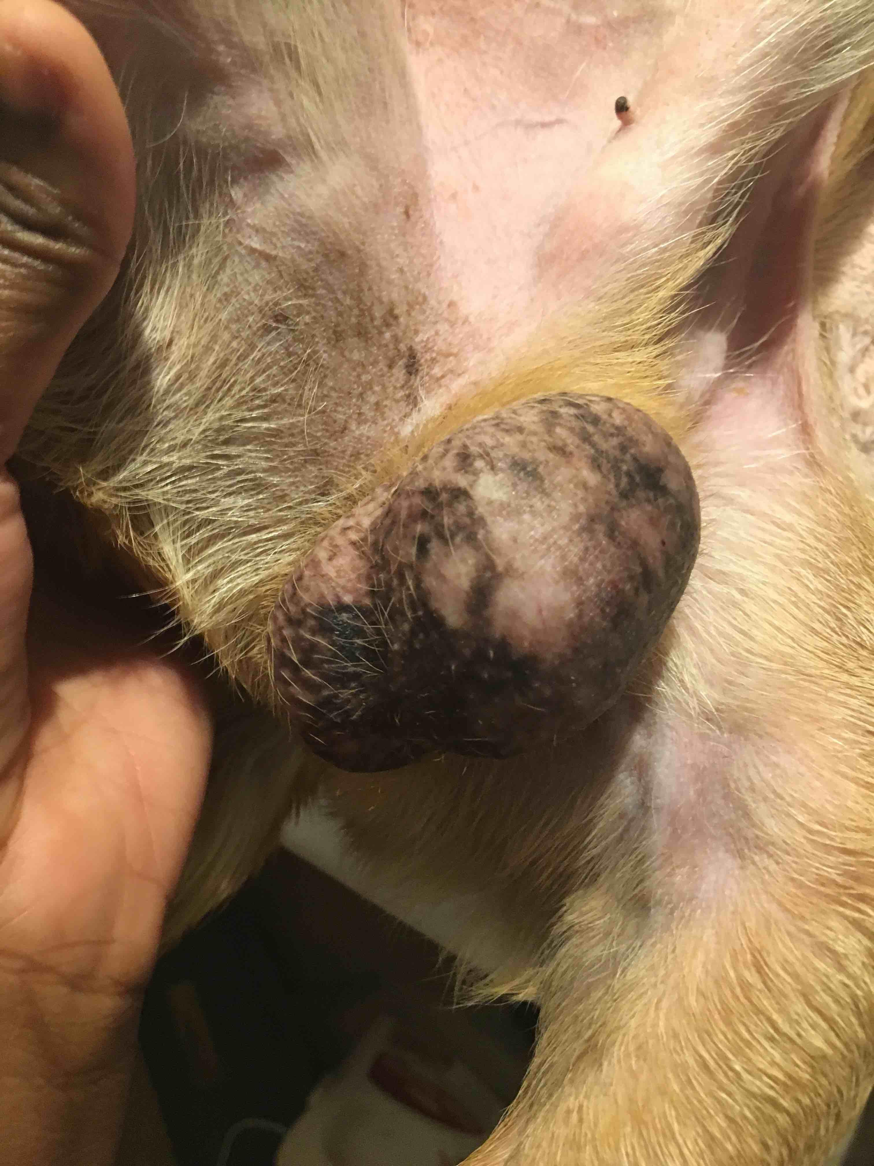 Question details sensitive content