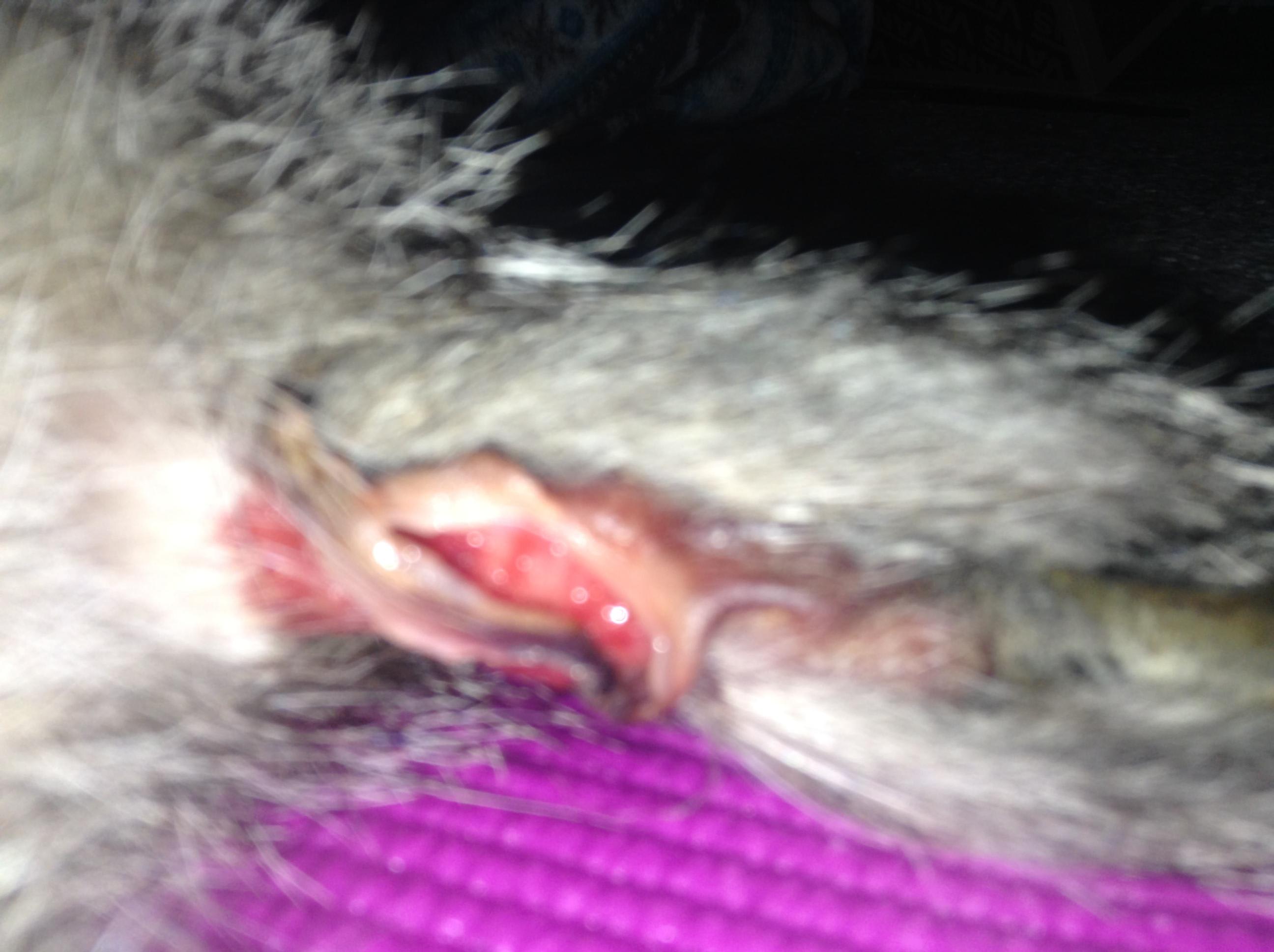 Question details sensitive content