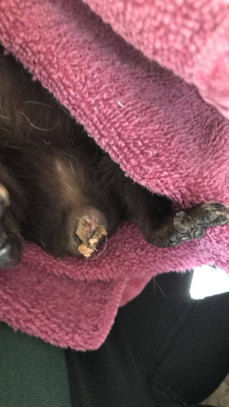 Question details sensitive content