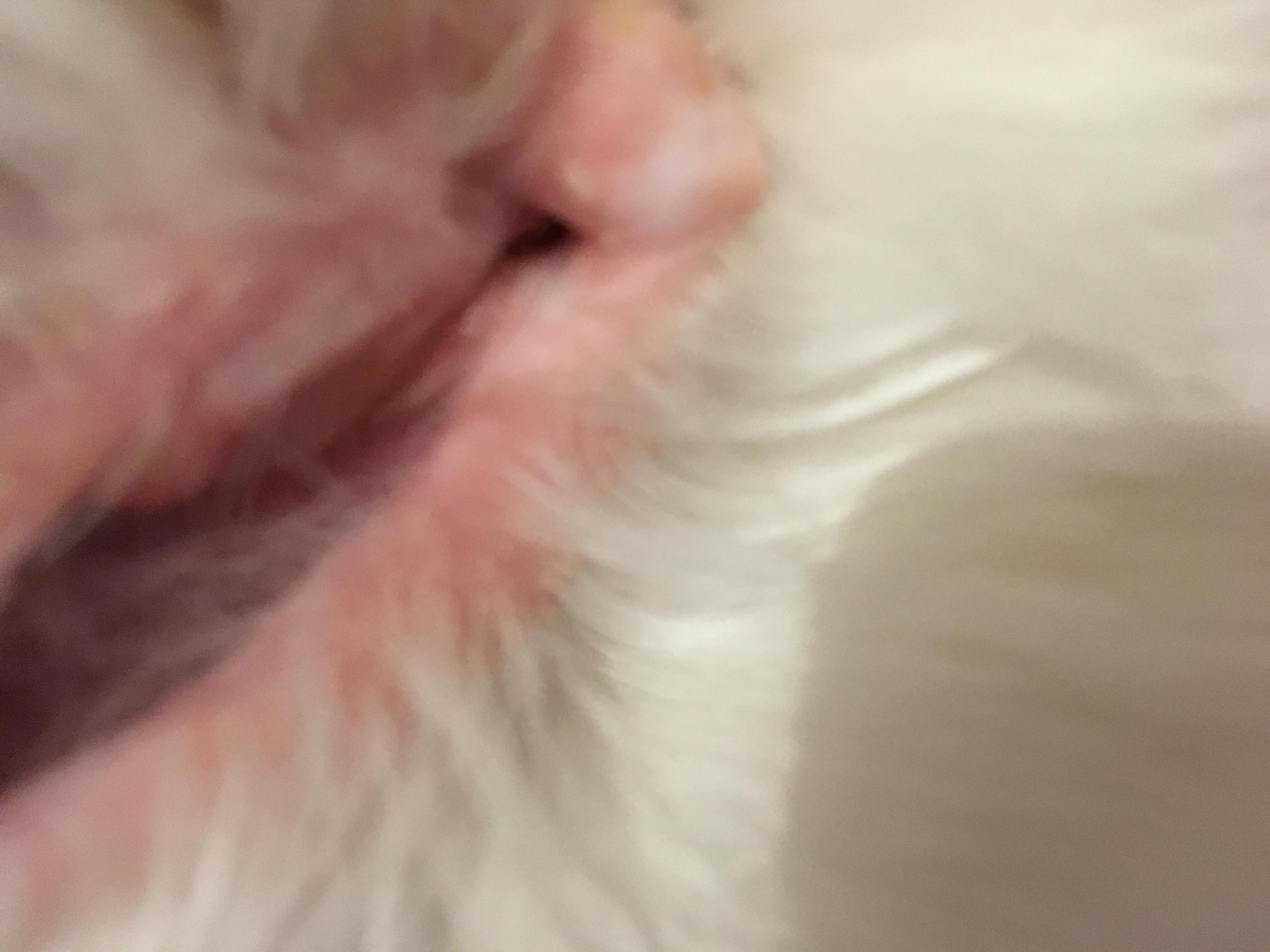 Question details sensitive content