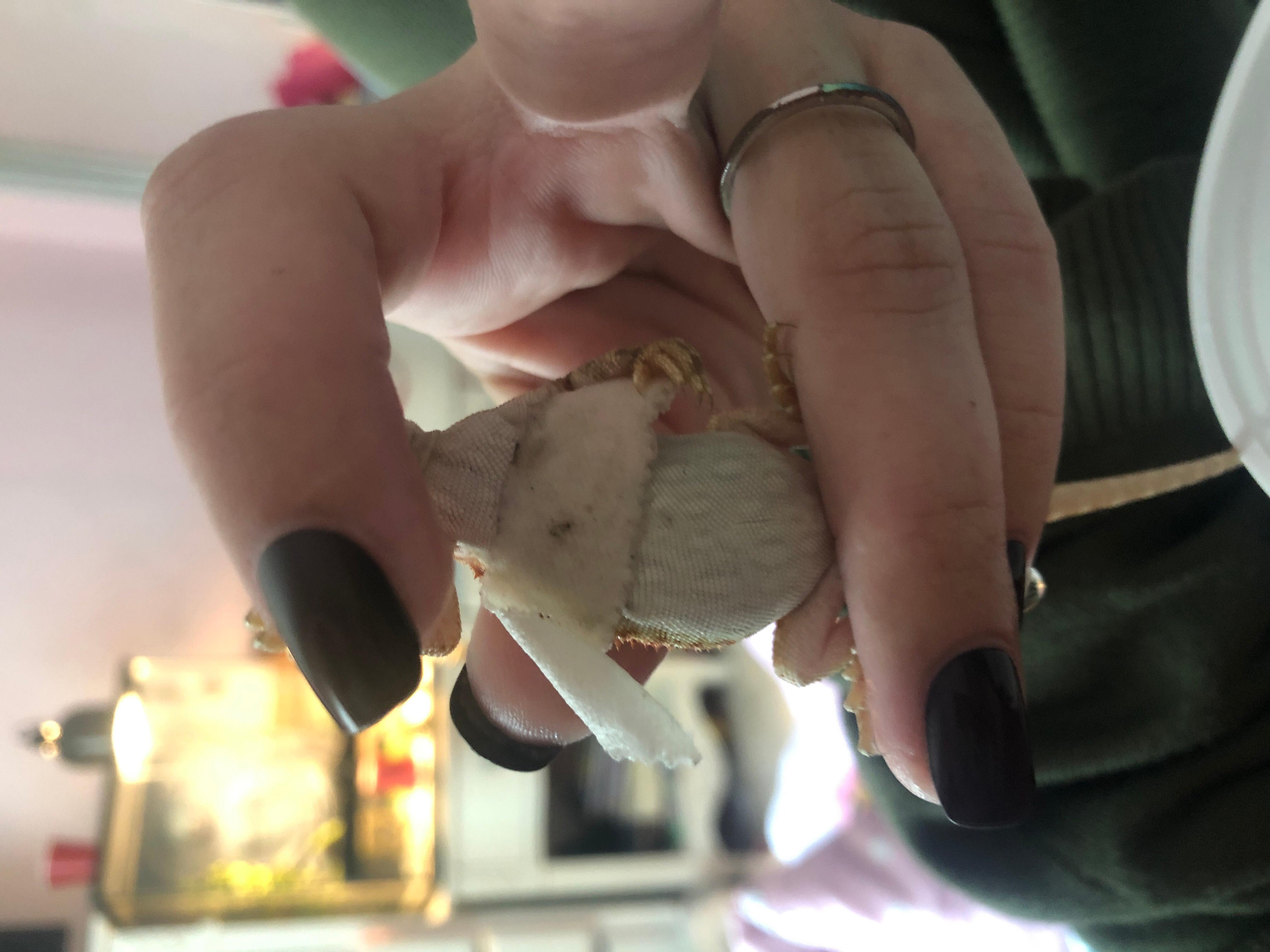 Question details sensitive content