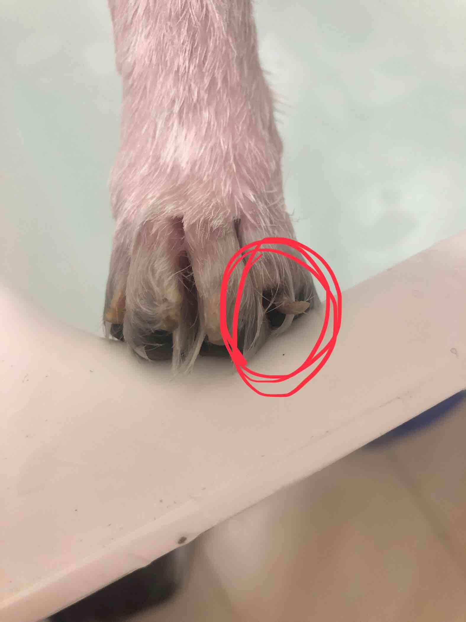 Question details sensitive content