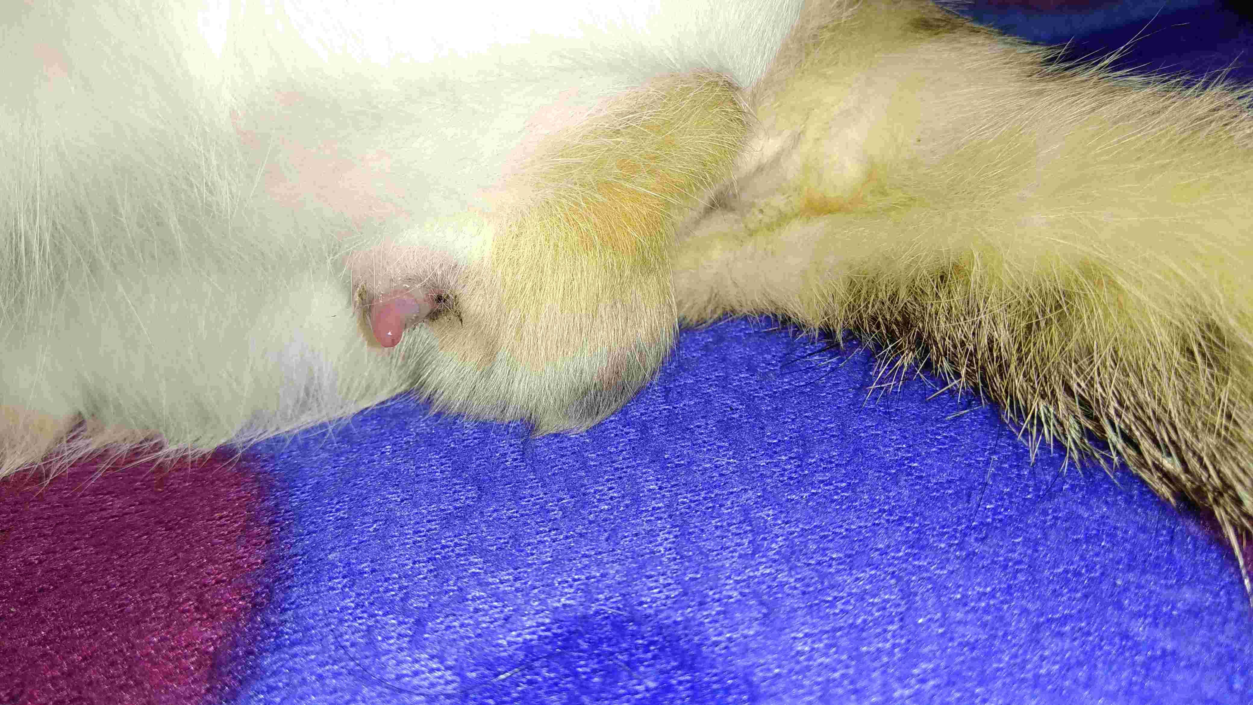 Question details sensitive content