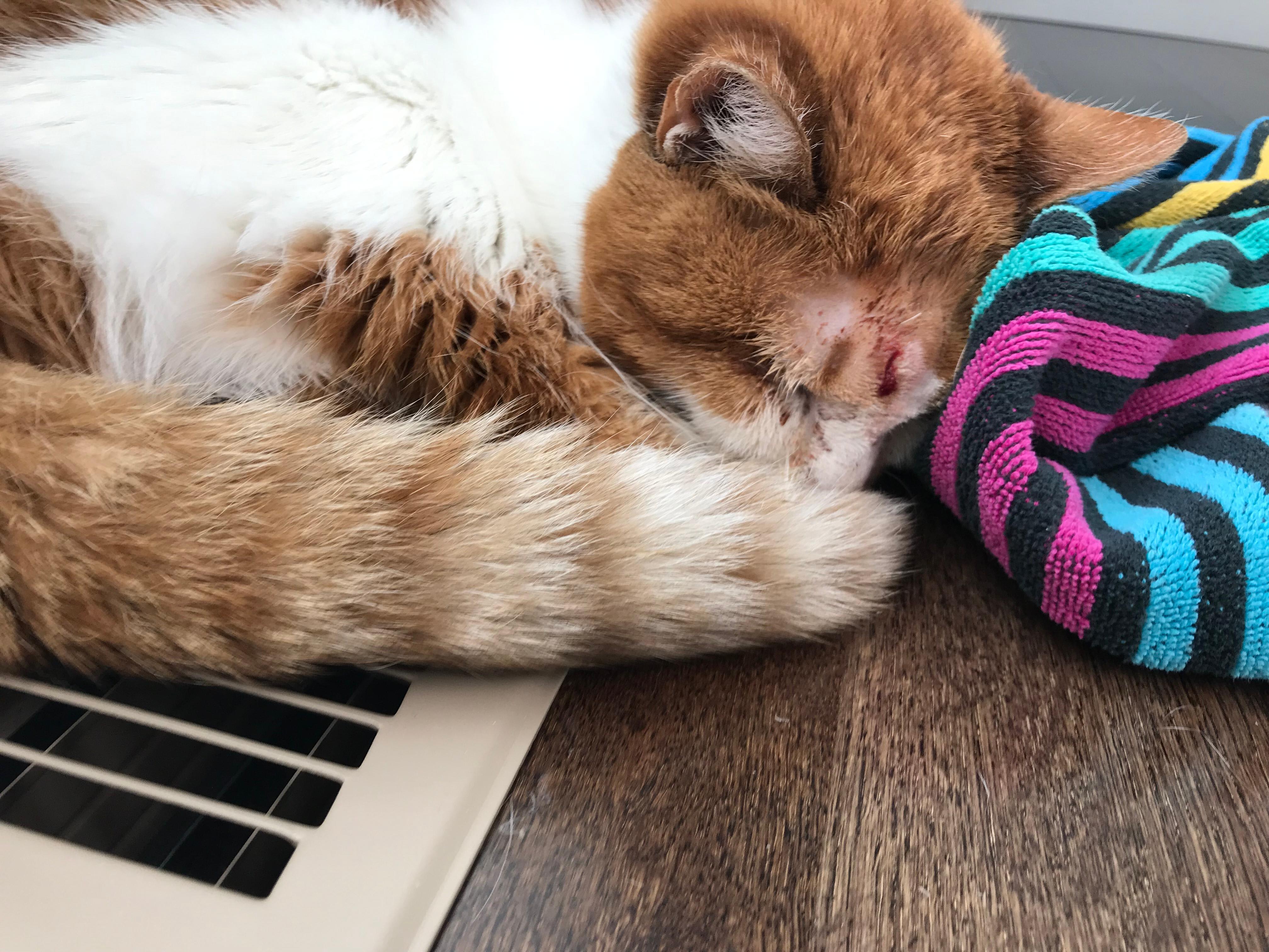 Question details sensitive content