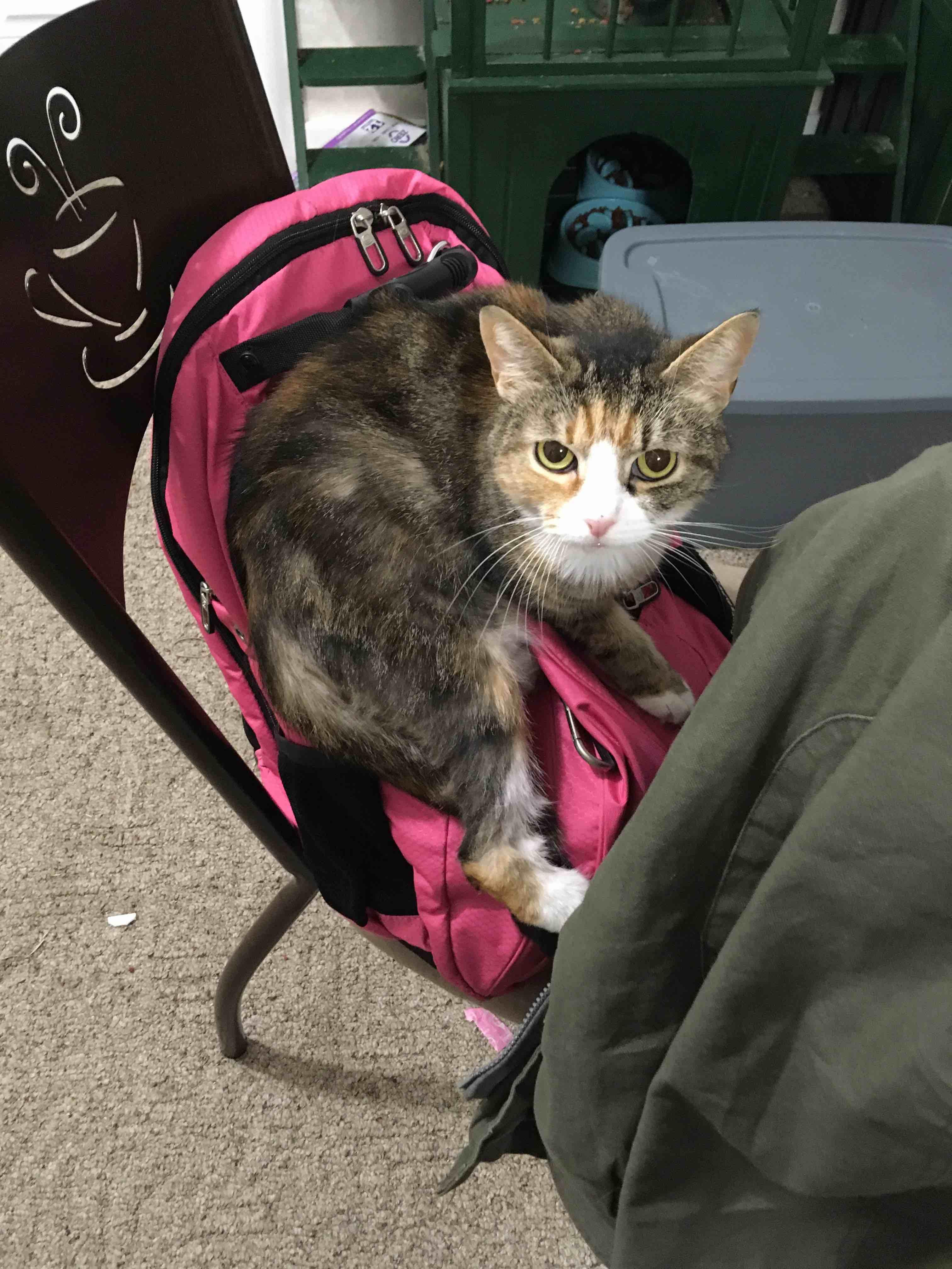 Question details sensitive content