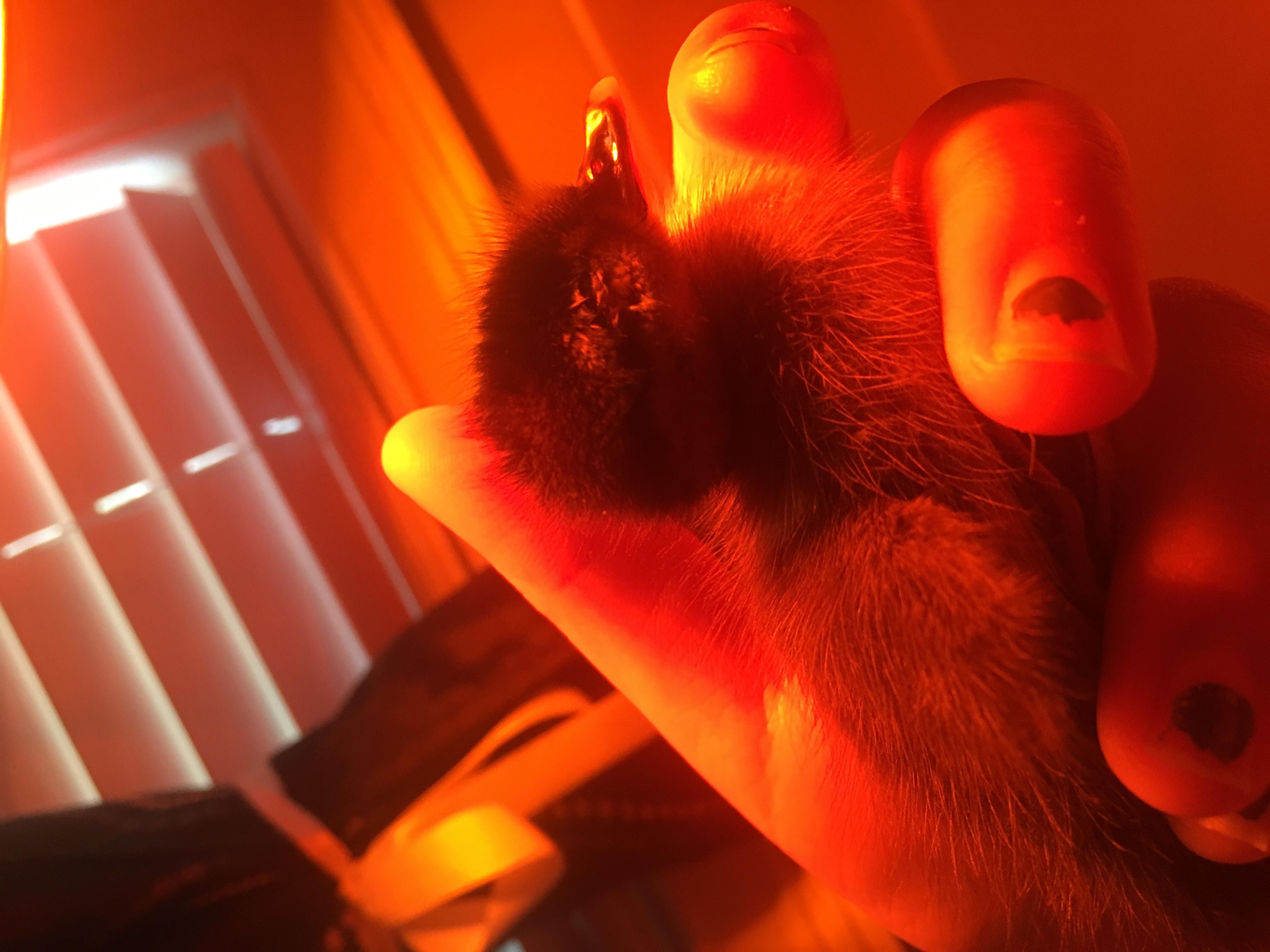 Question details sensitive content