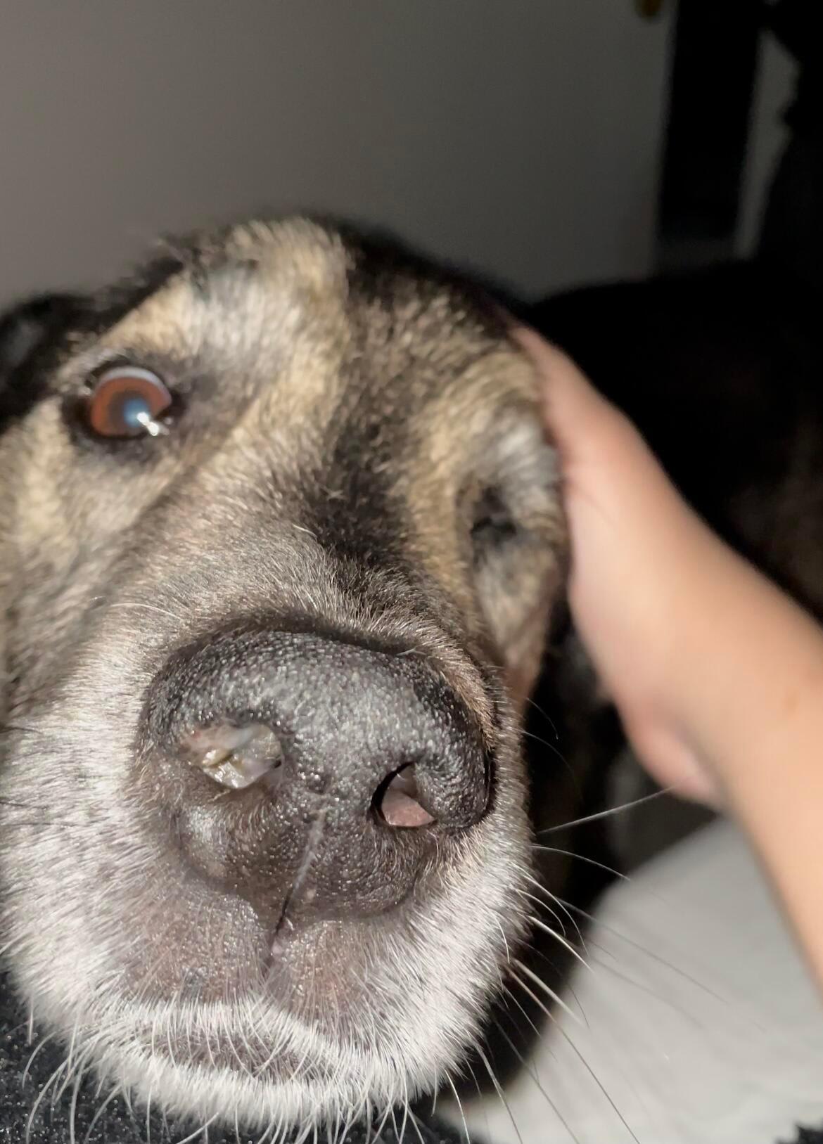 Question details sensitive content