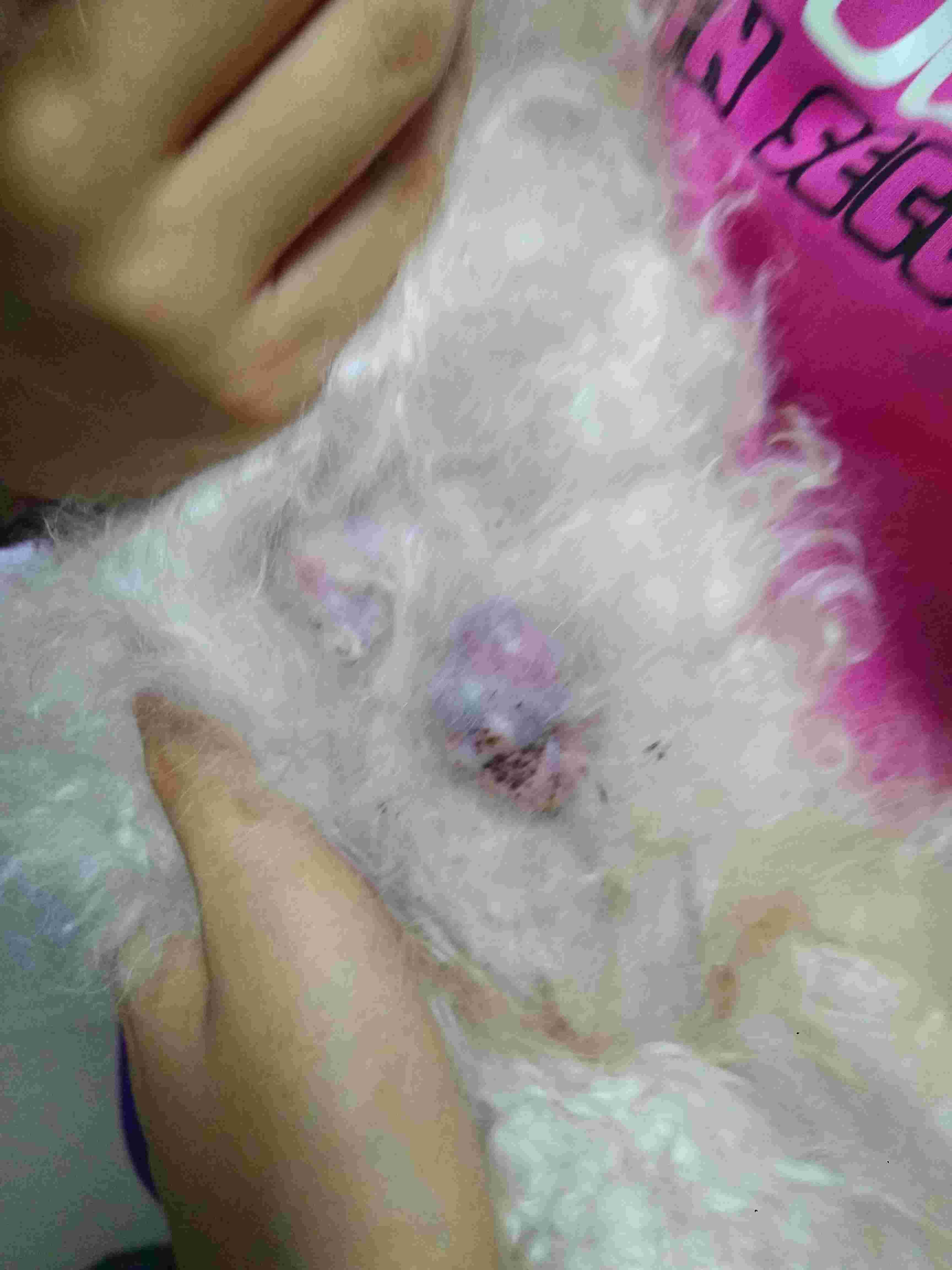 Question details sensitive content