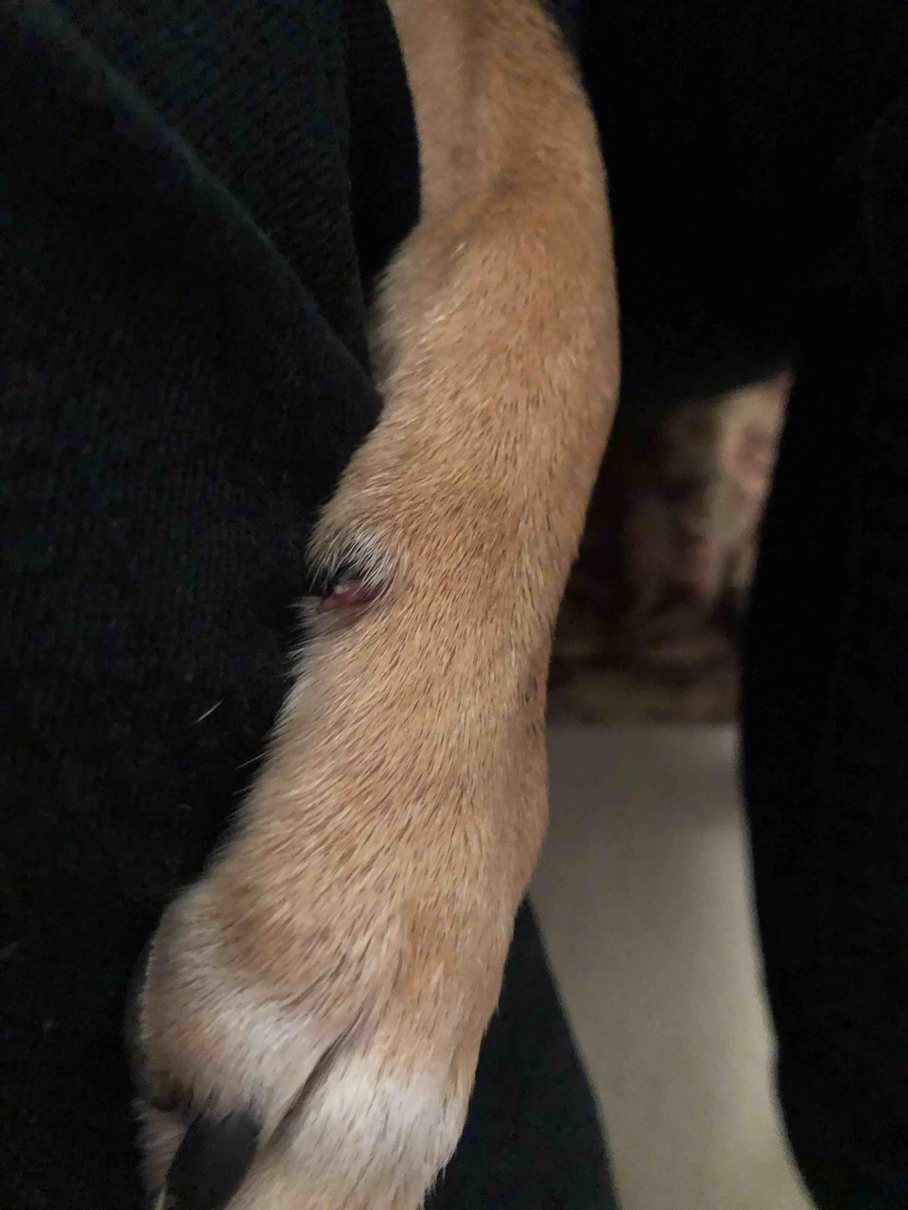 Question details sensitive content