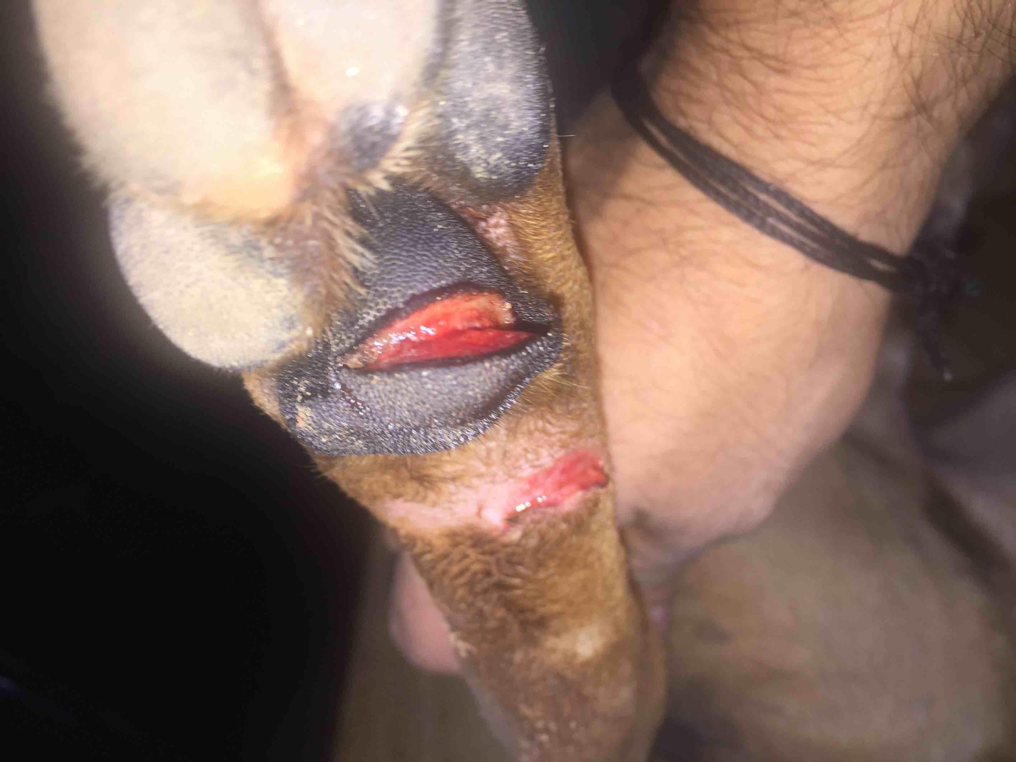 Question details sensitive content