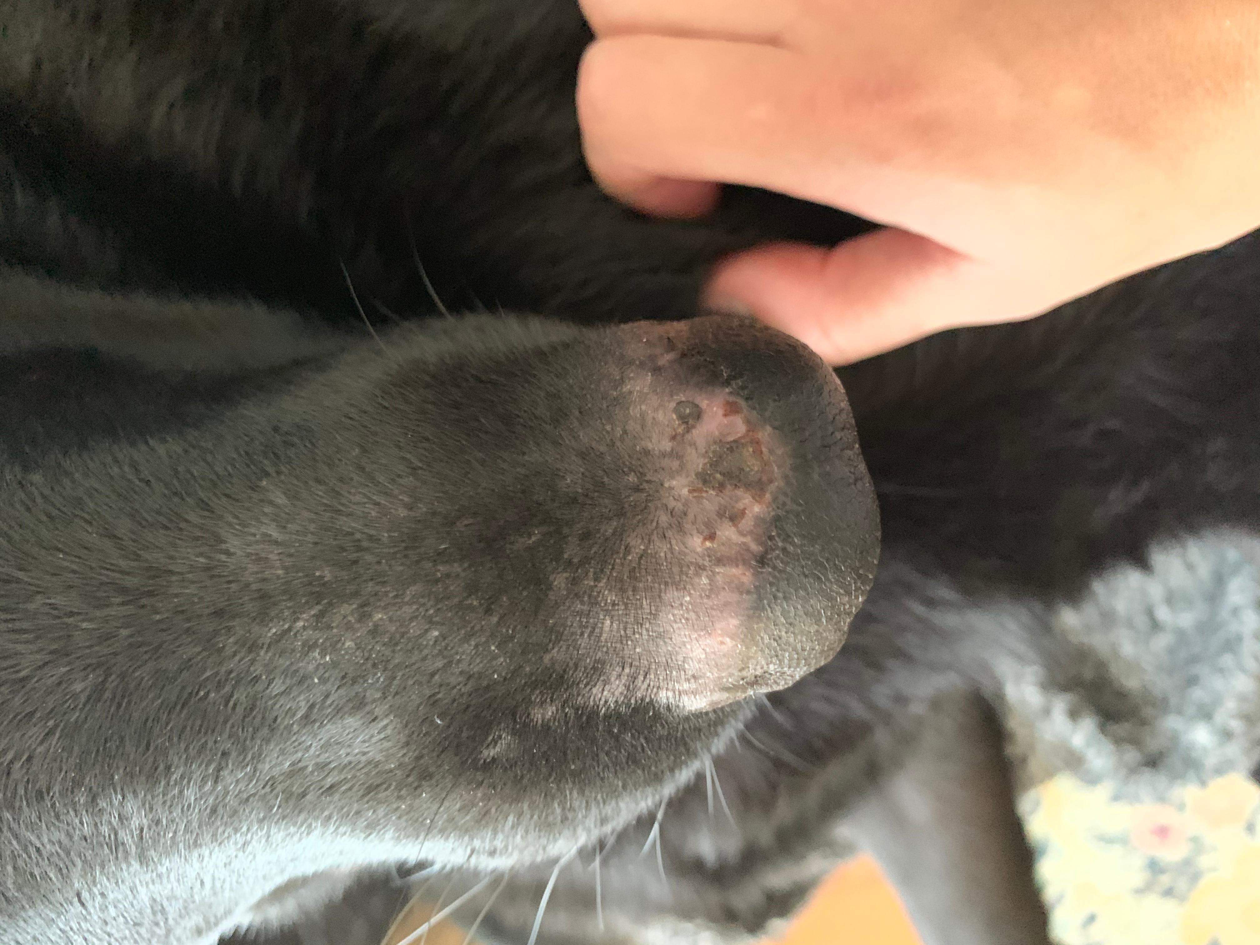 Question details sensitive content