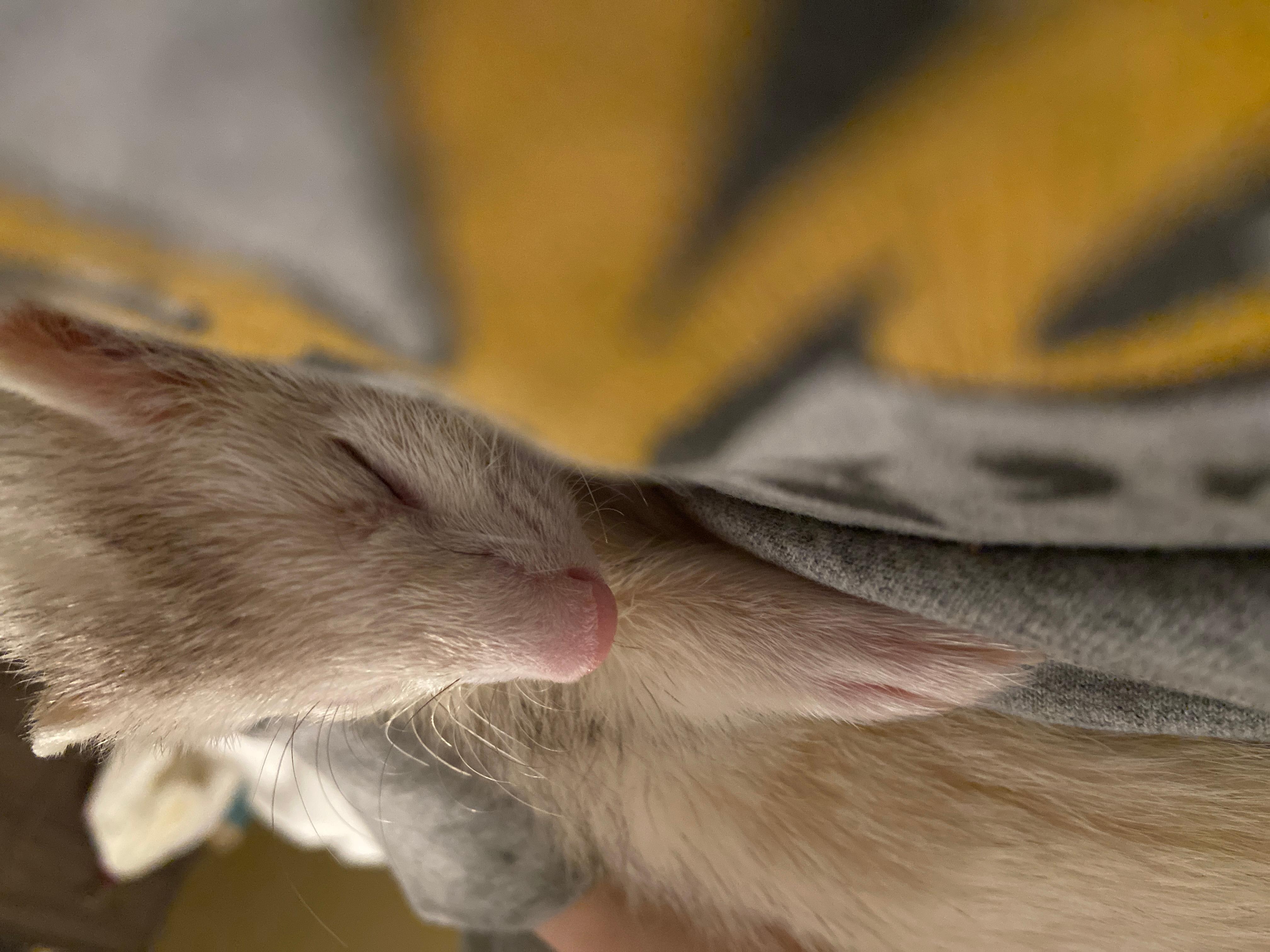 Question details sensitive content