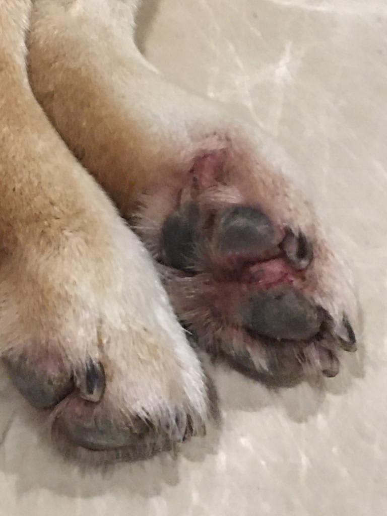 Question details sensitive content