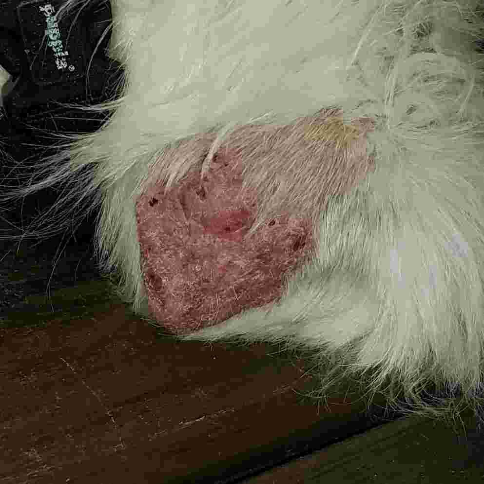 Question details sensitive content