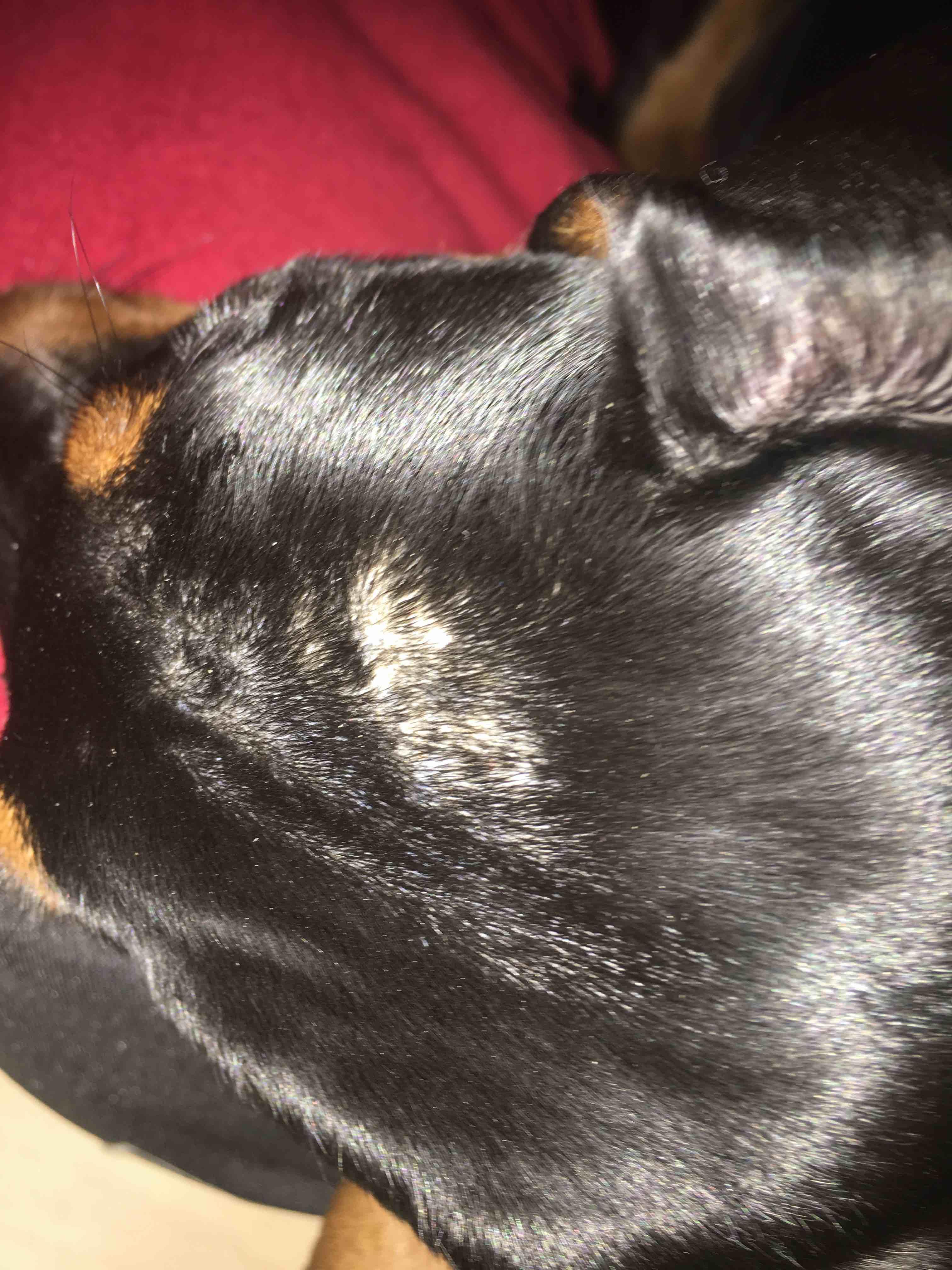 Question details sensitive content