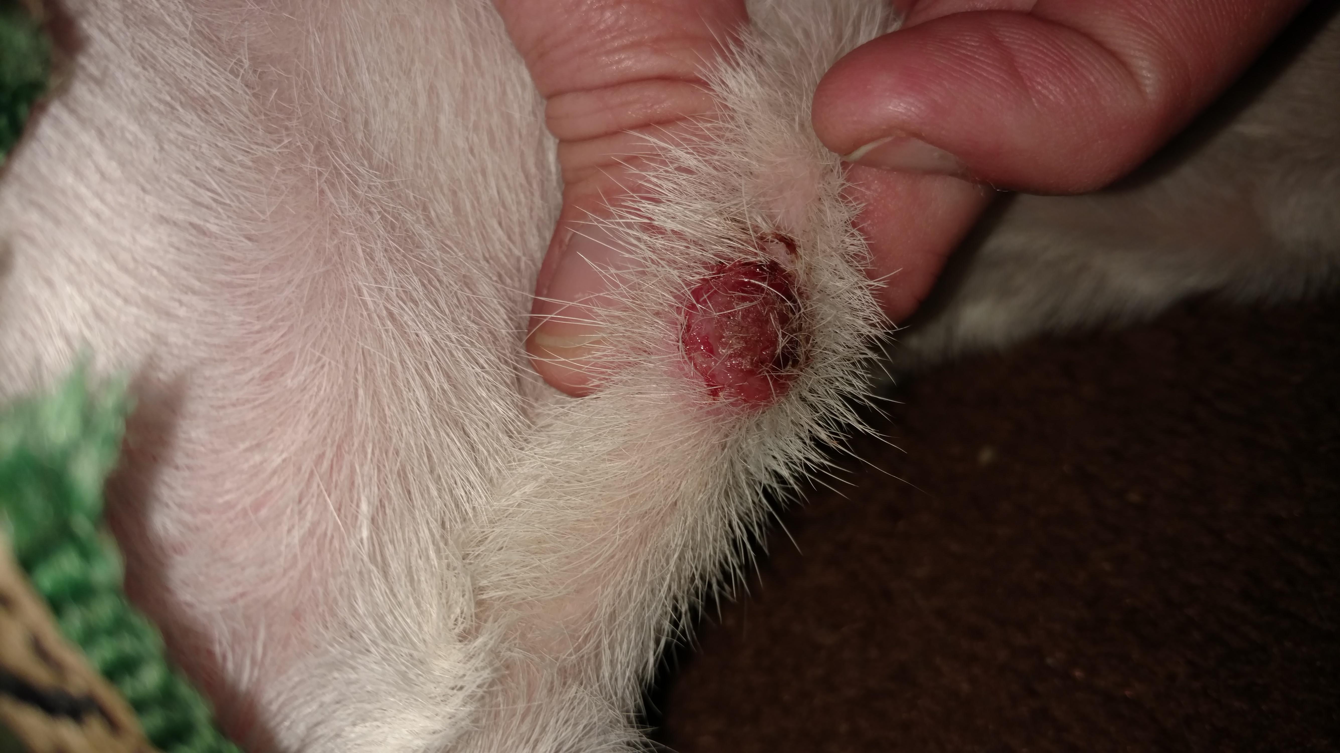 Question details sensitive content