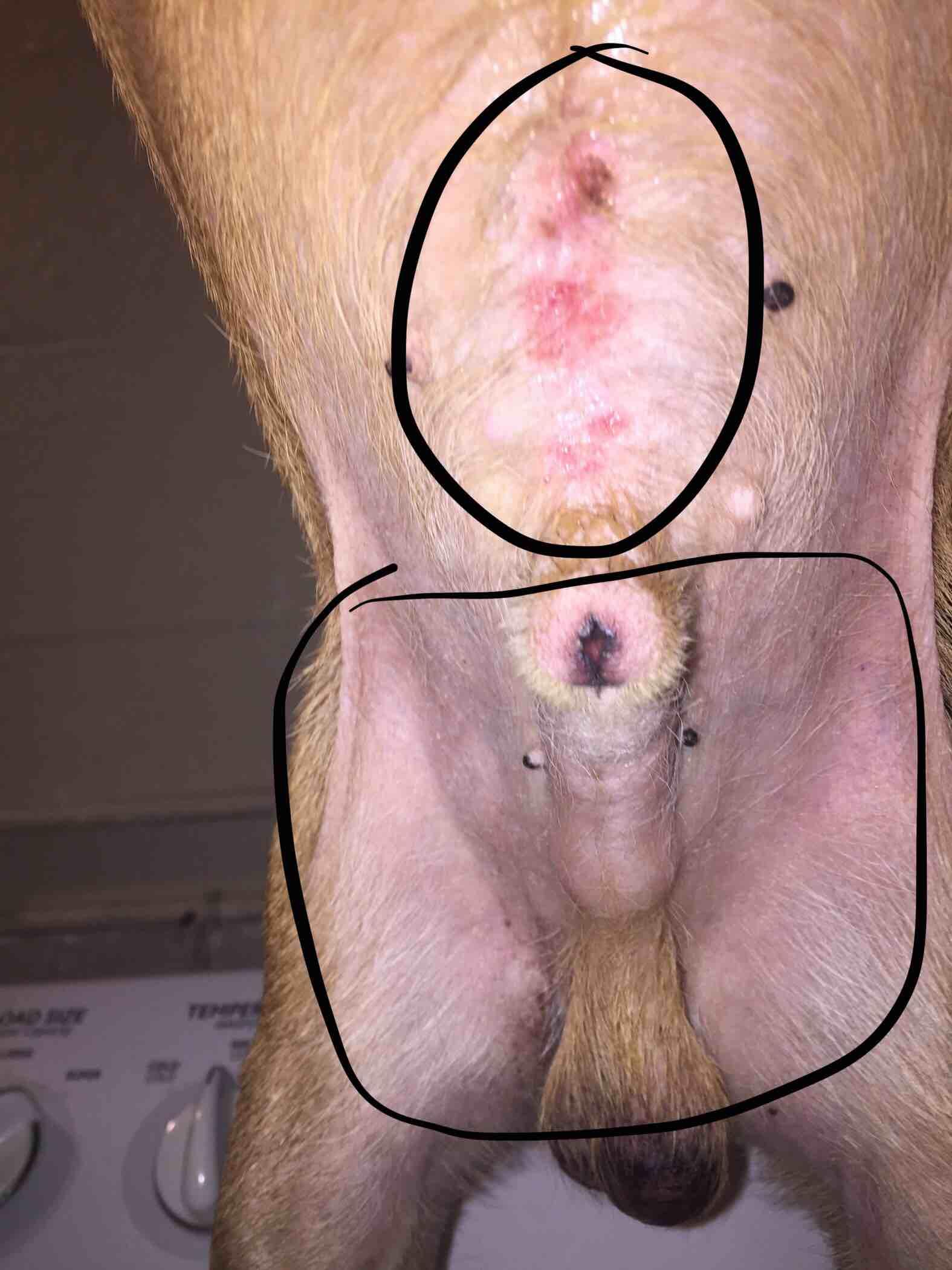 Question details sensitive content