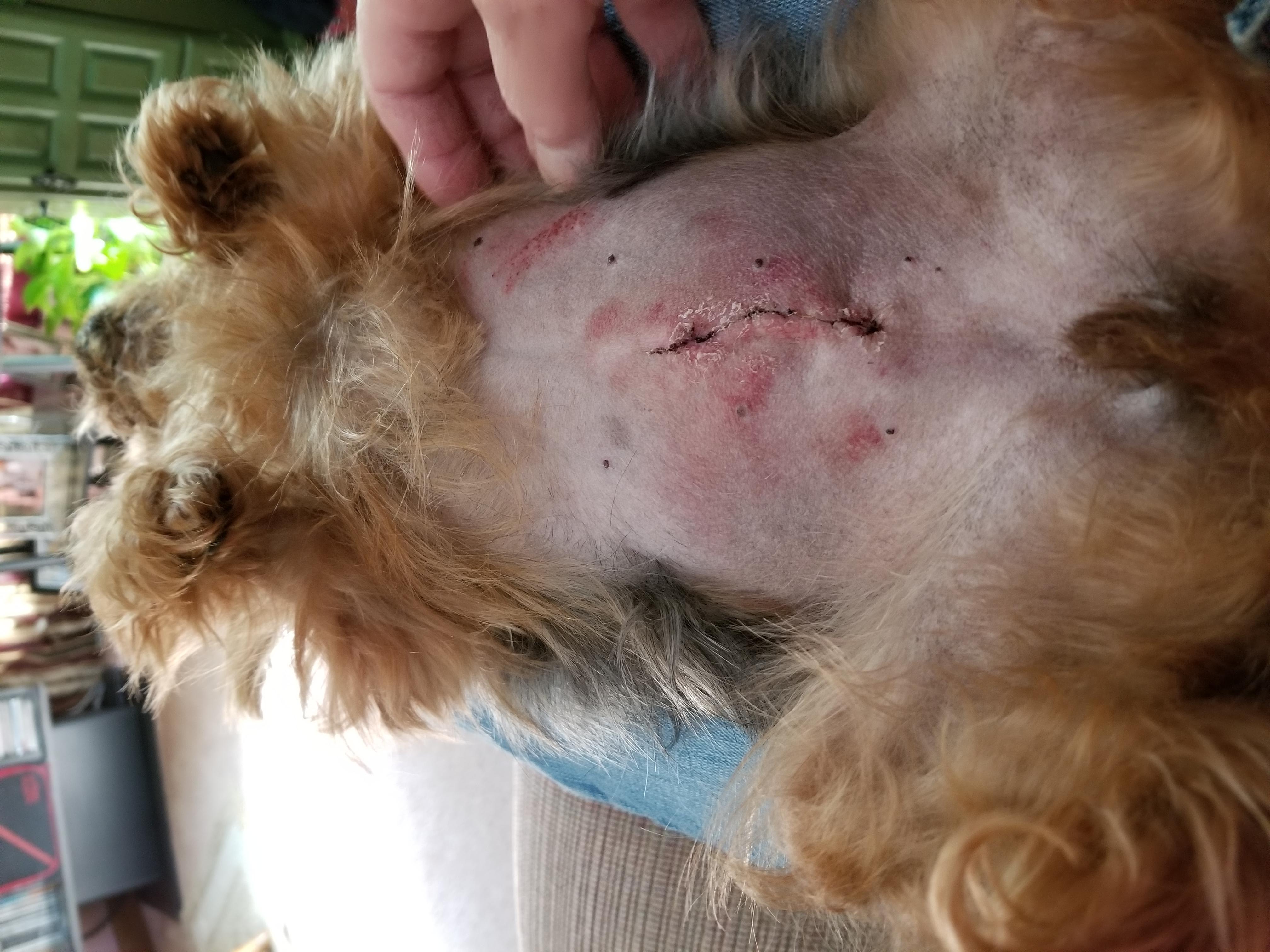 Question details sensitive content