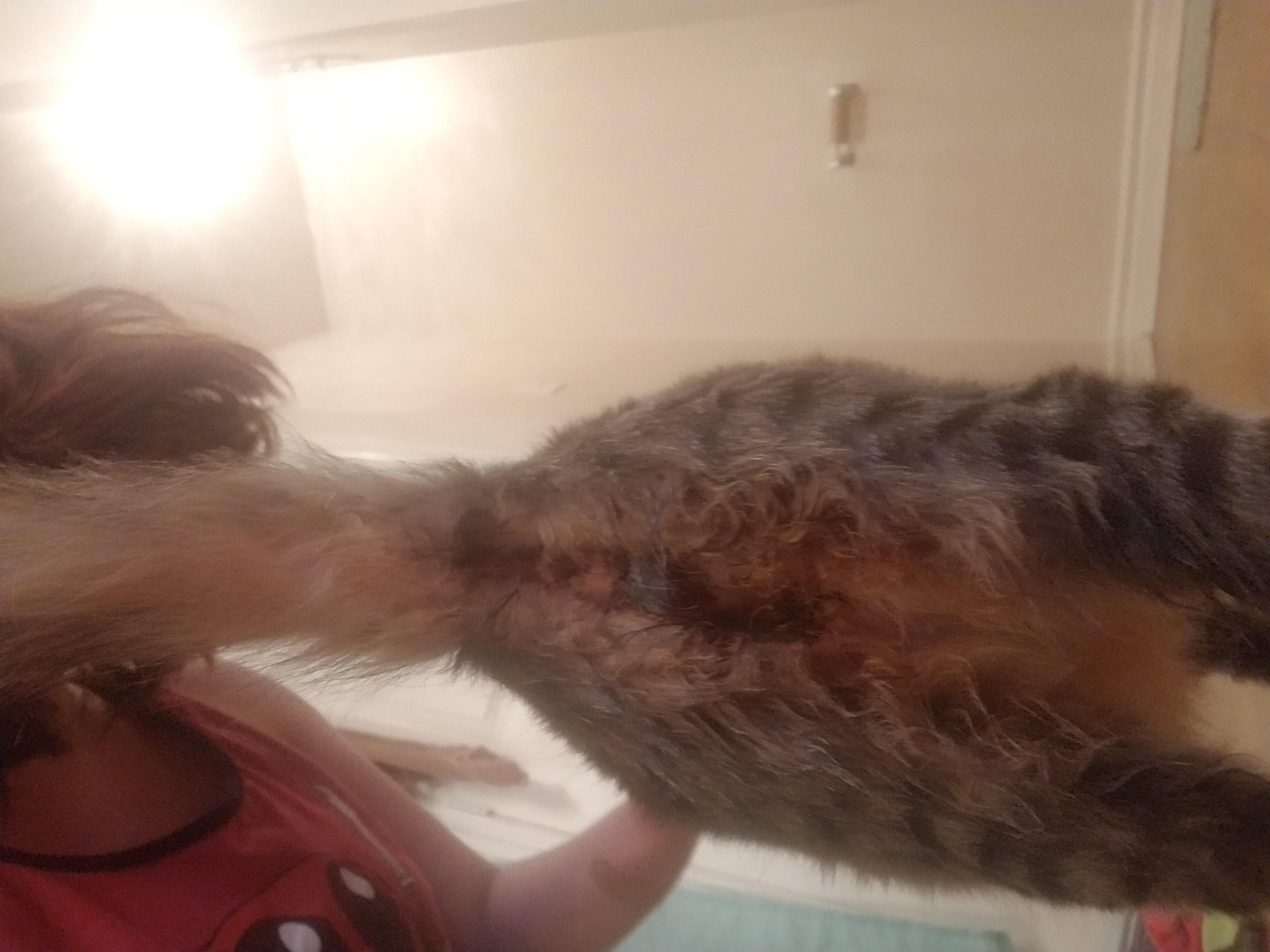 Question details sensitive content