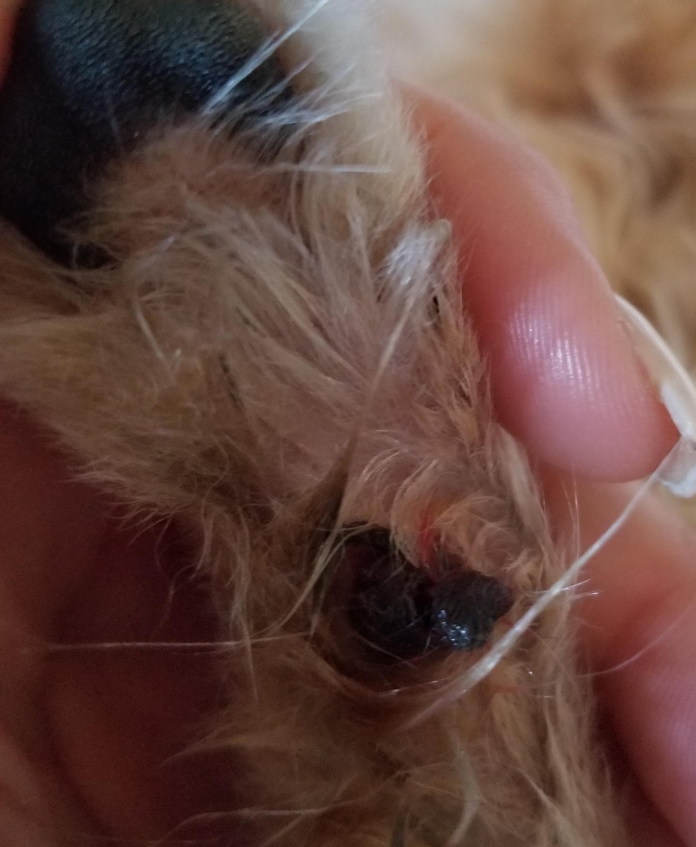 Question details sensitive content