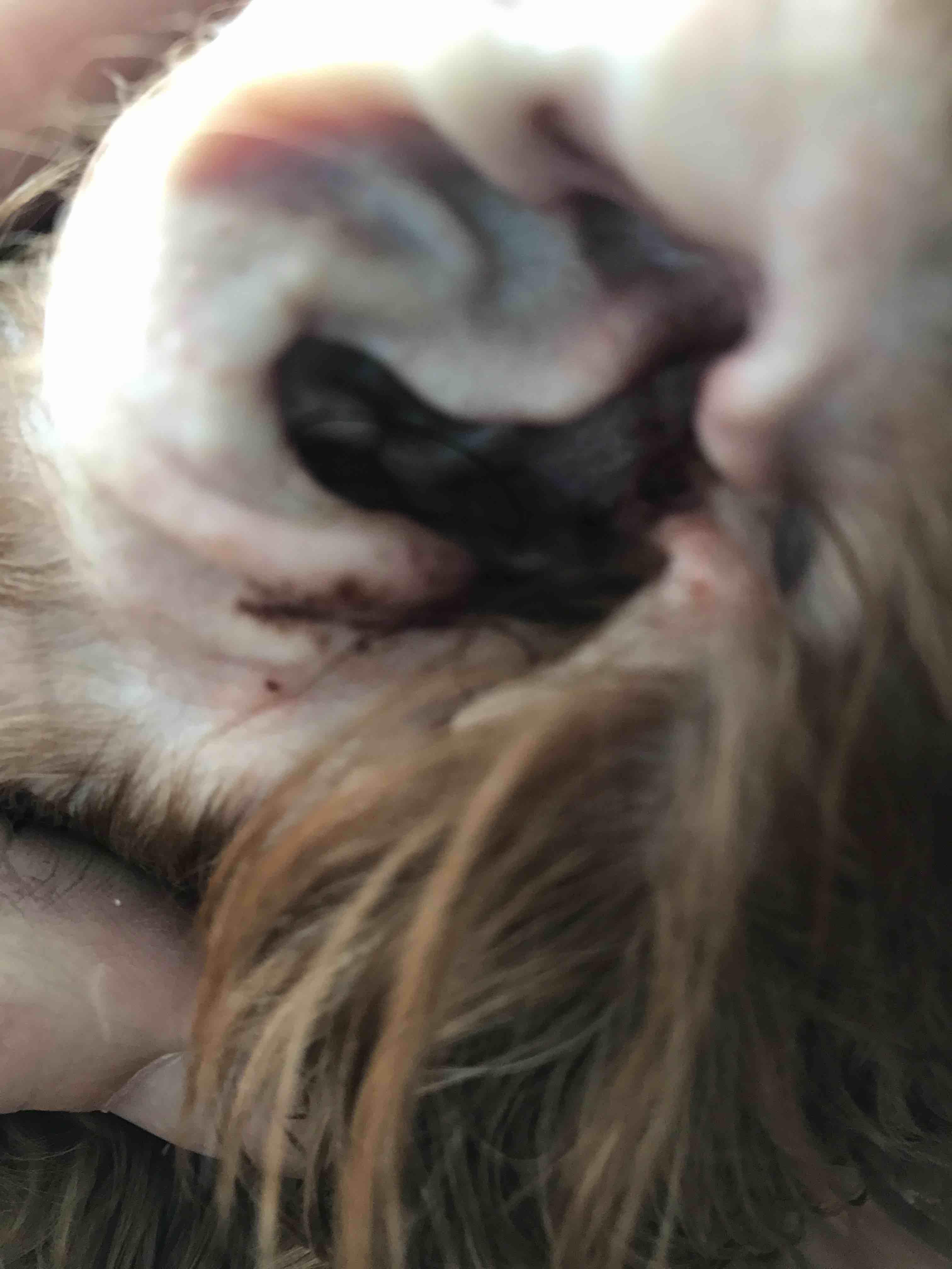 Question details sensitive content