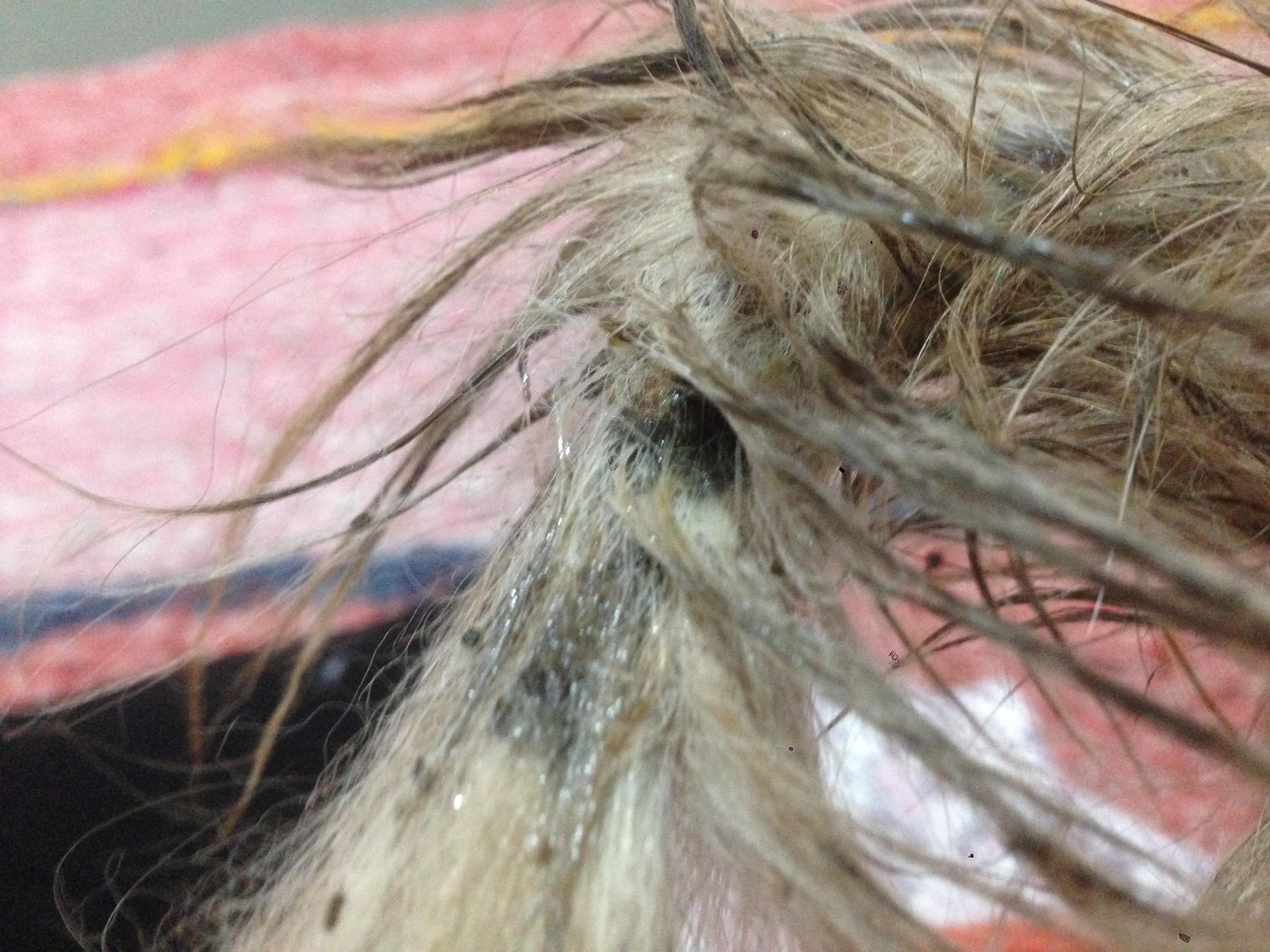 Question details sensitive content