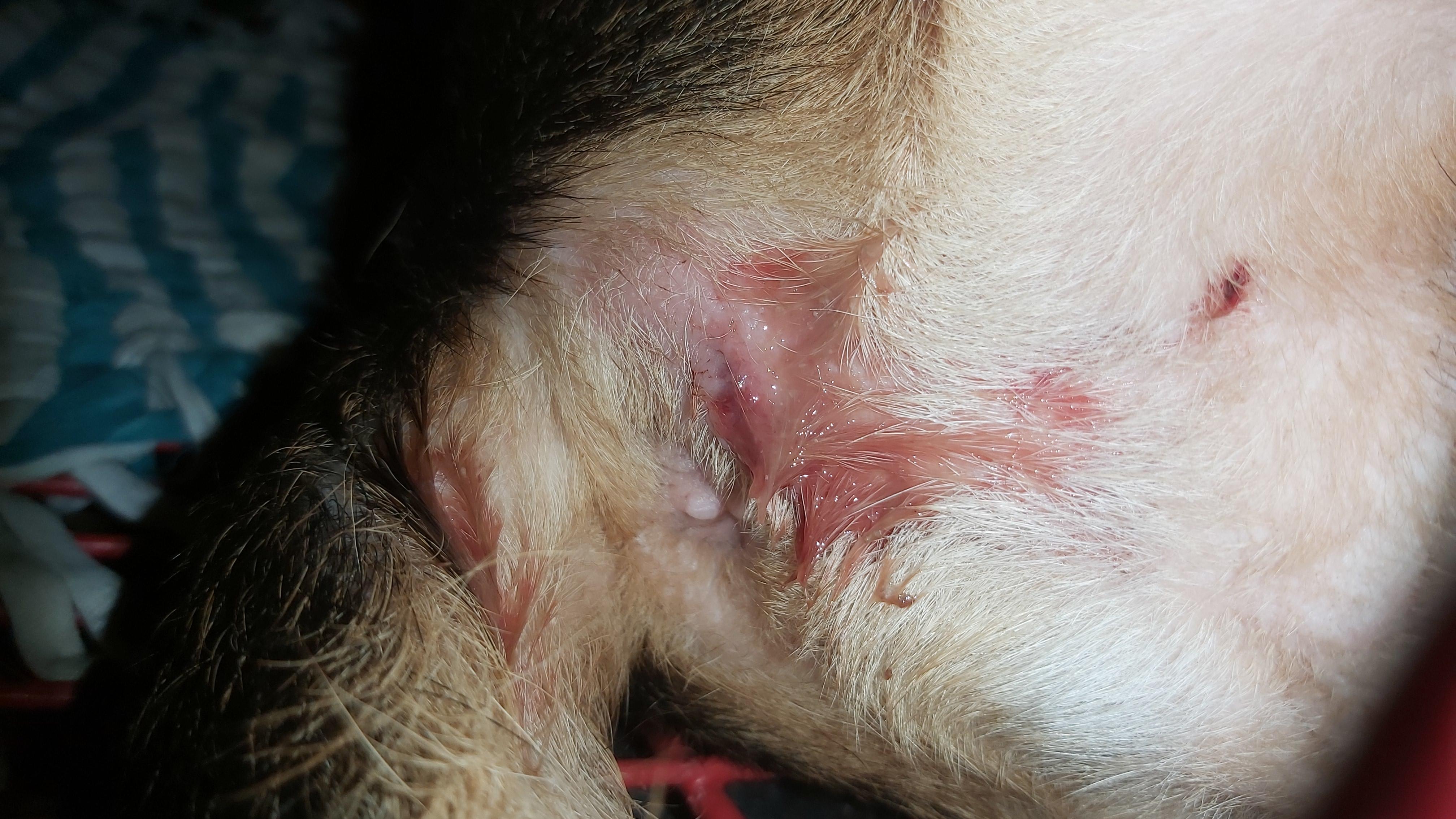 Question details sensitive content