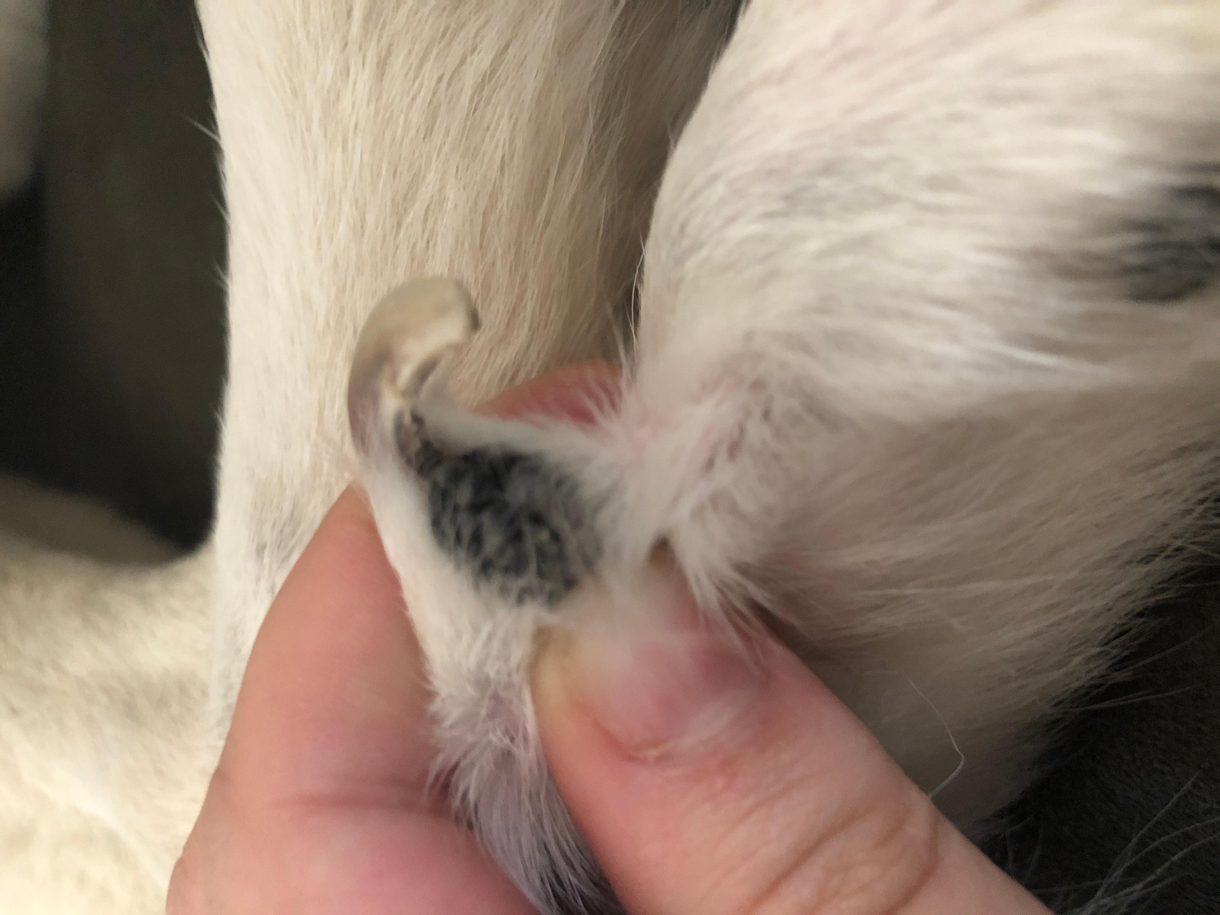 Question details sensitive content