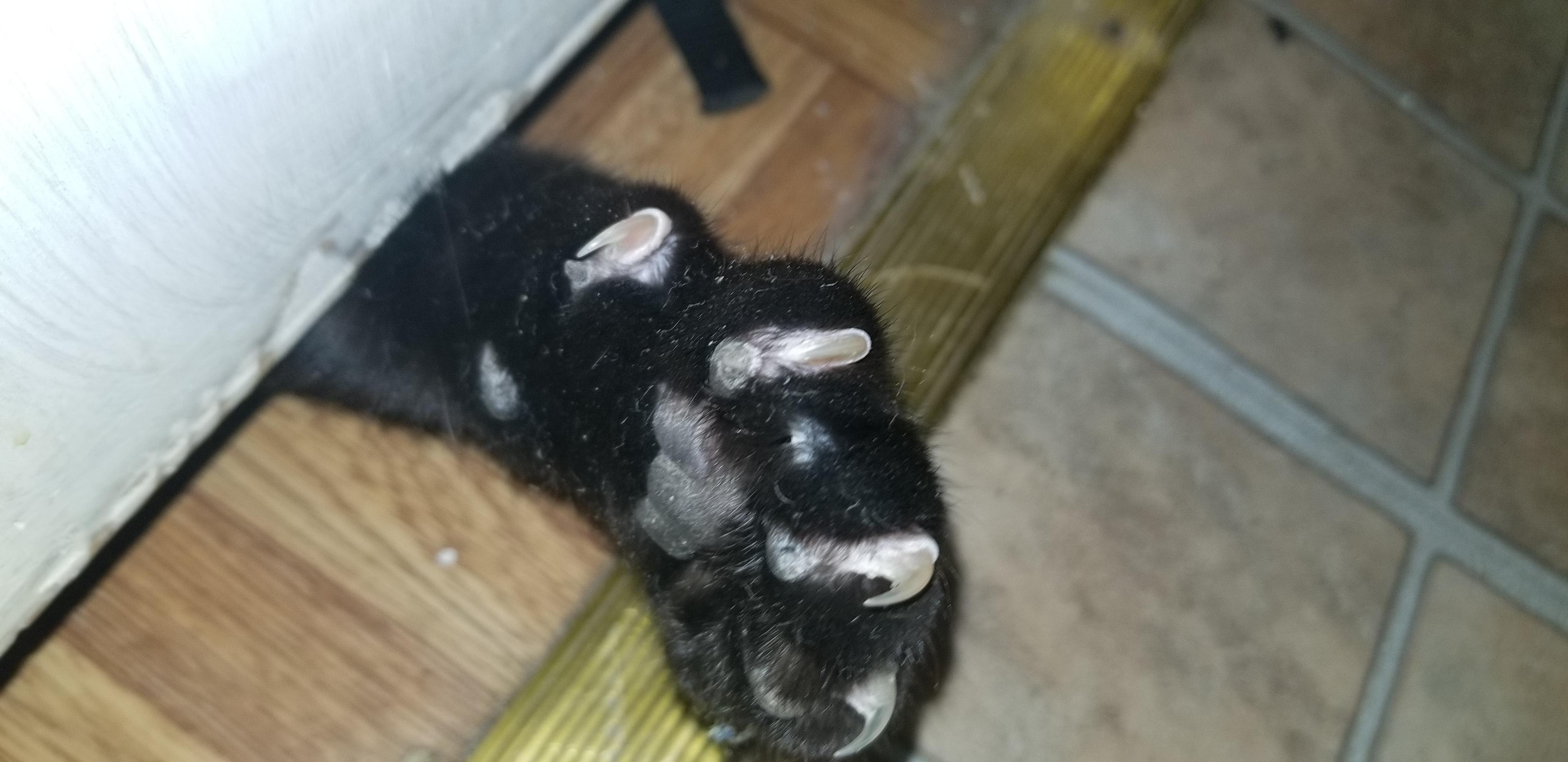 Question details sensitive content