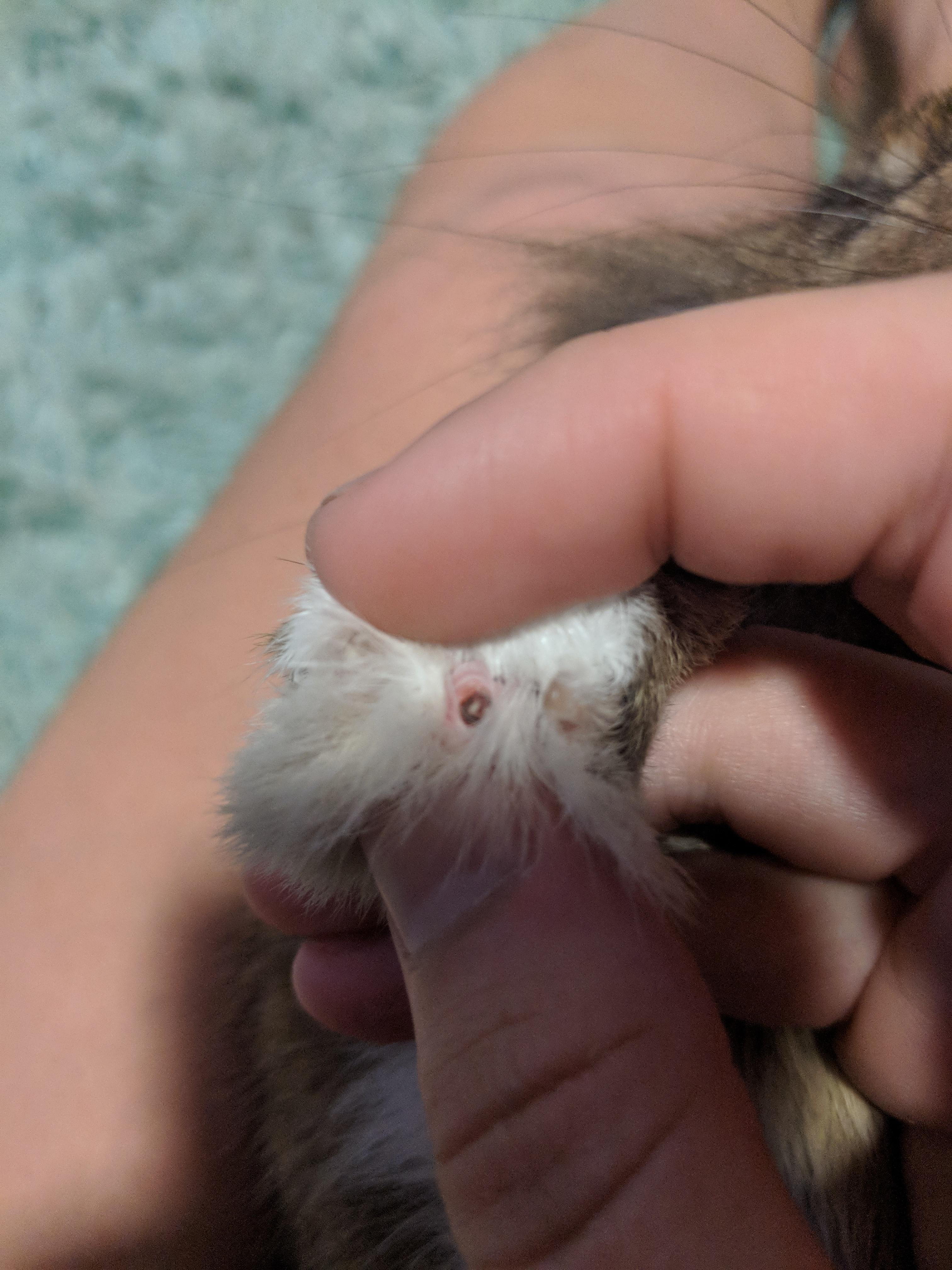 Question details sensitive content