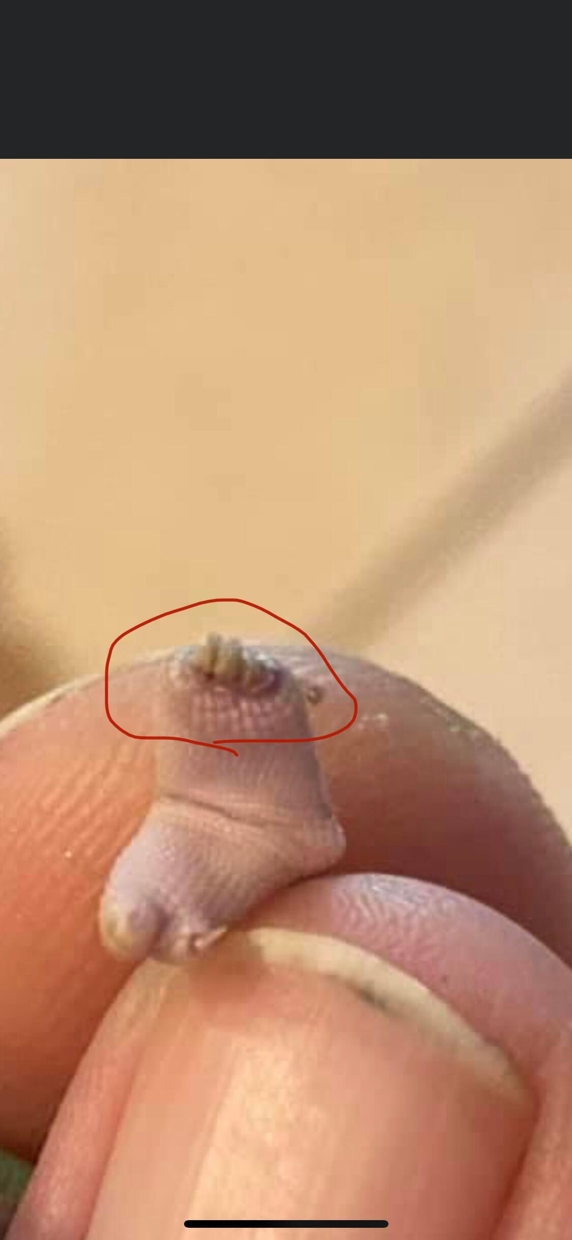 Question details sensitive content