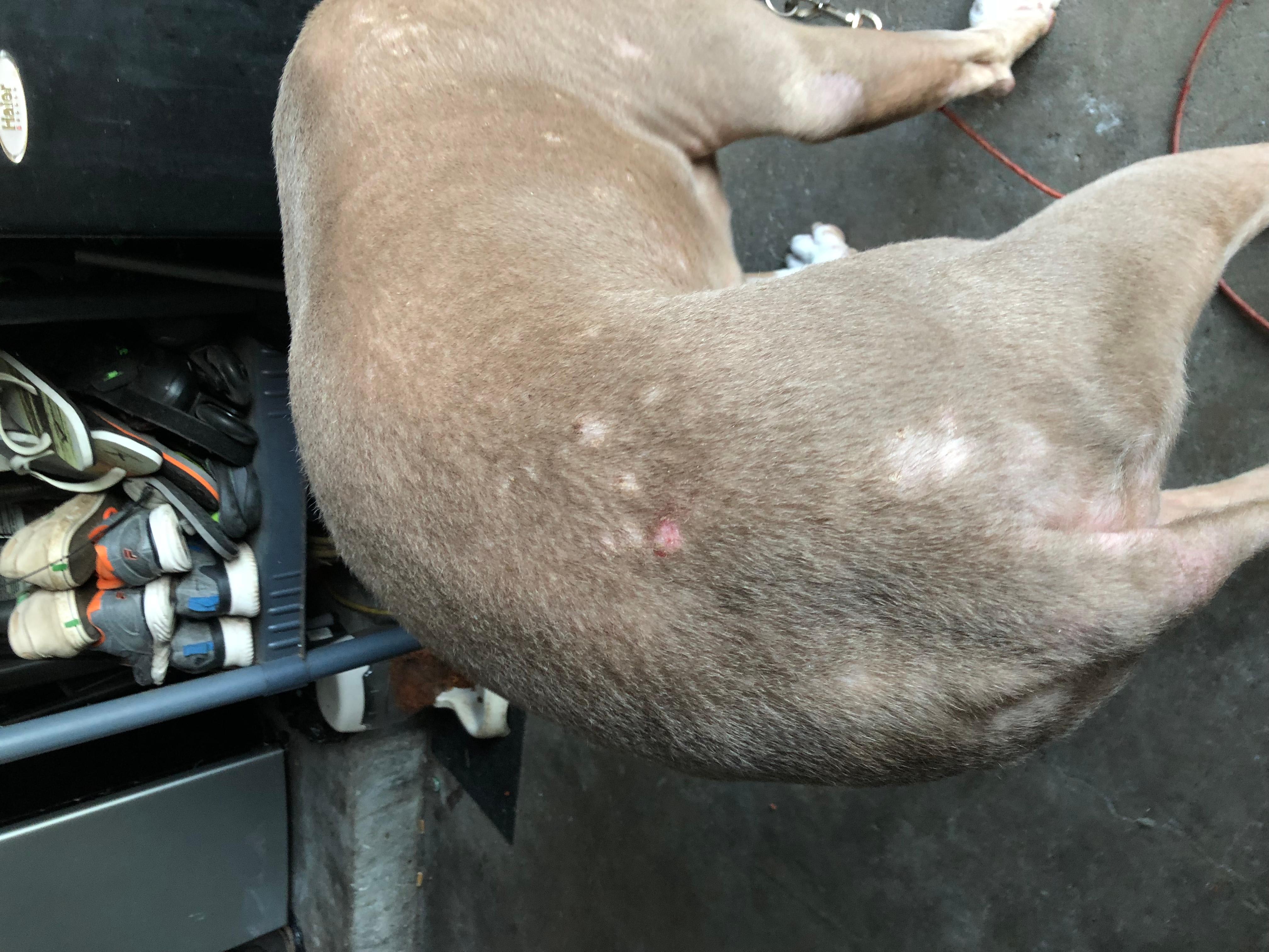 Question details sensitive content