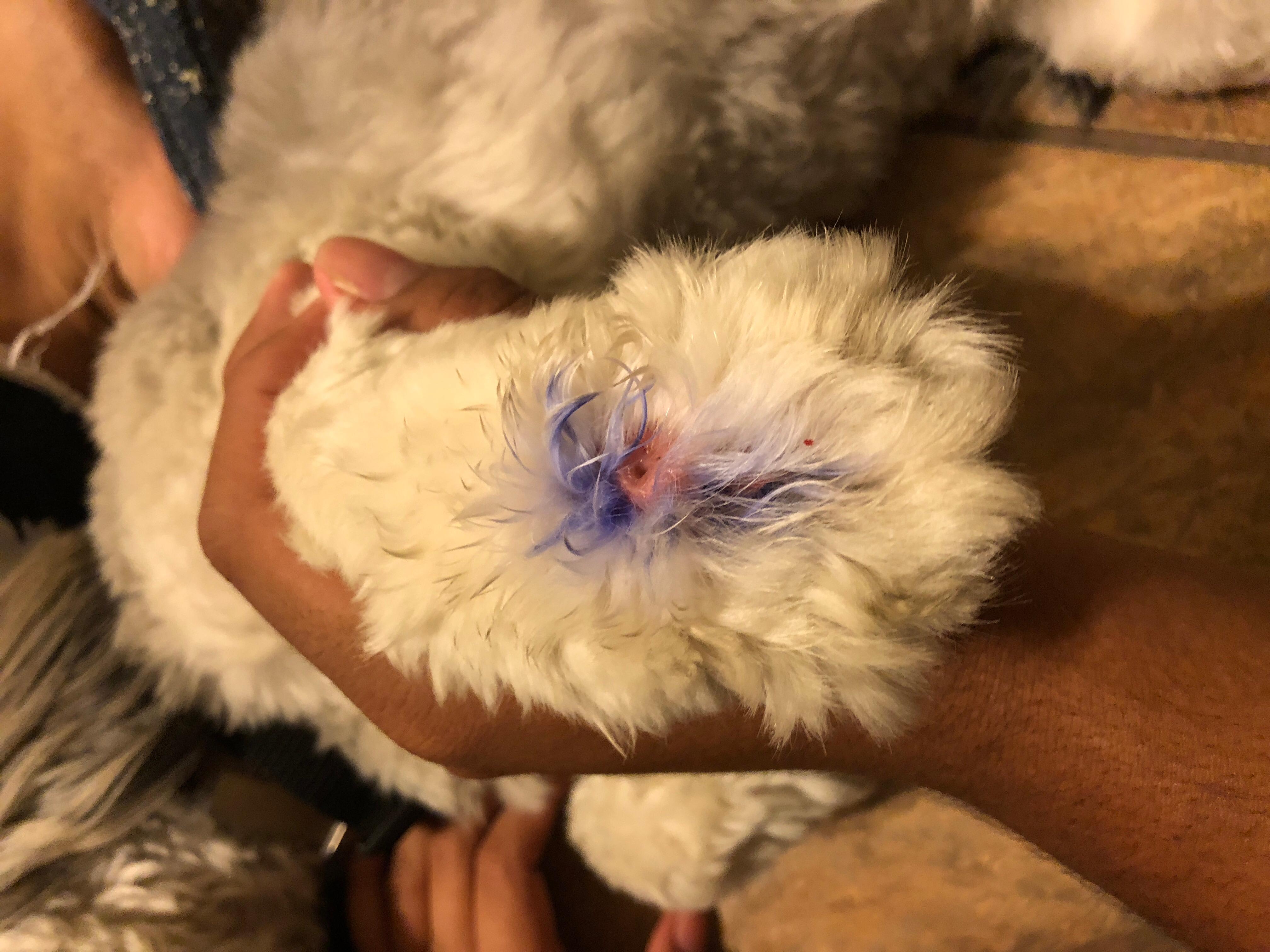 Question details sensitive content