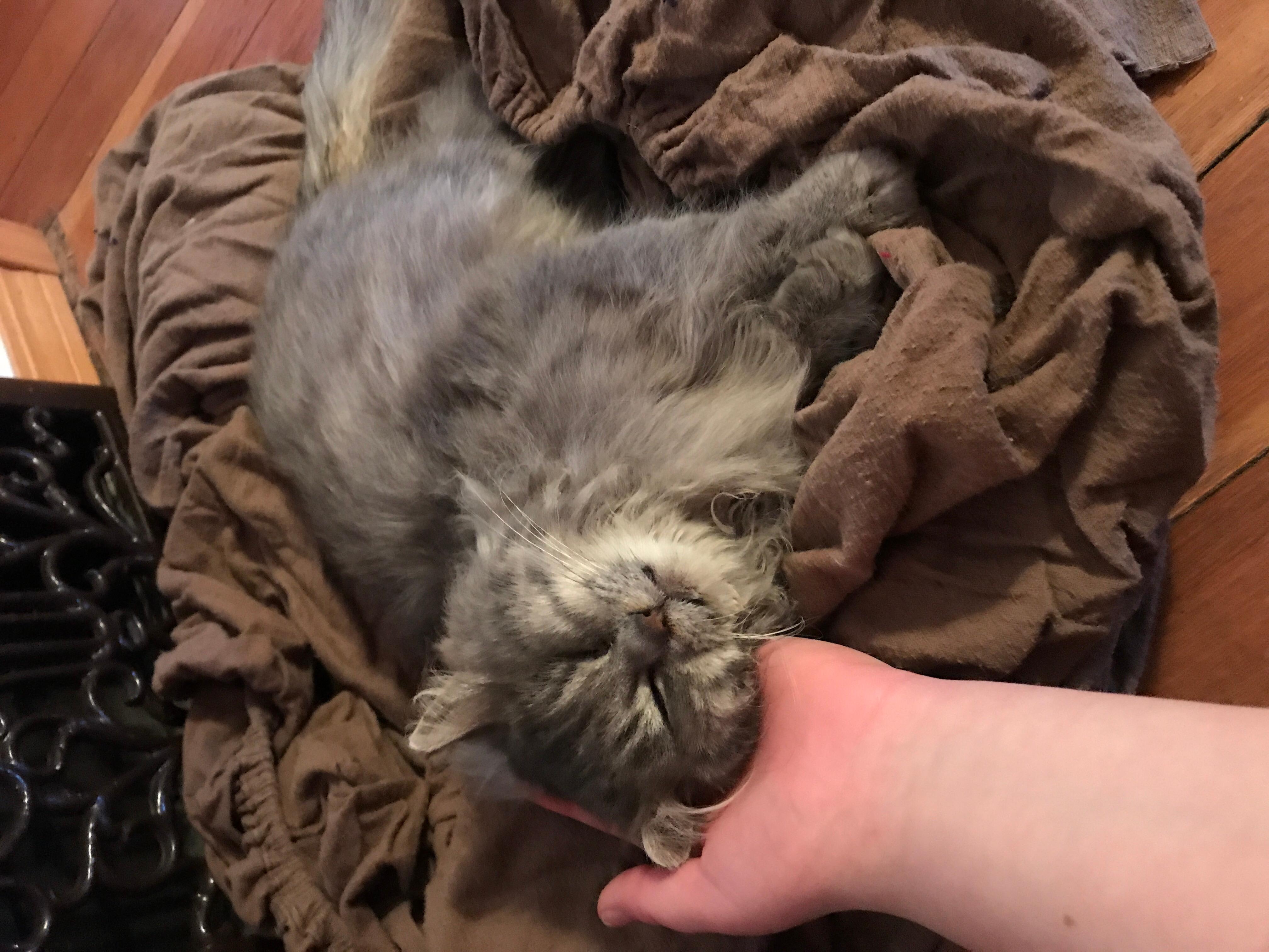 Question details sensitive content