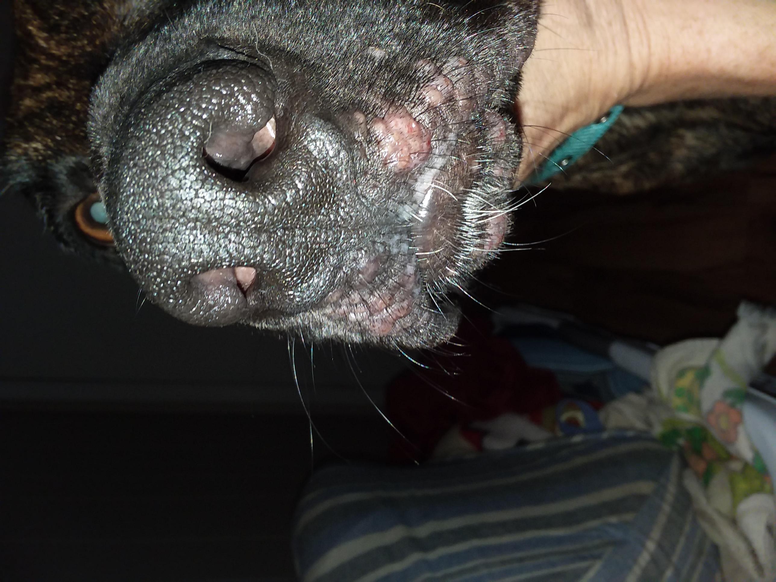 Question details sensitive content